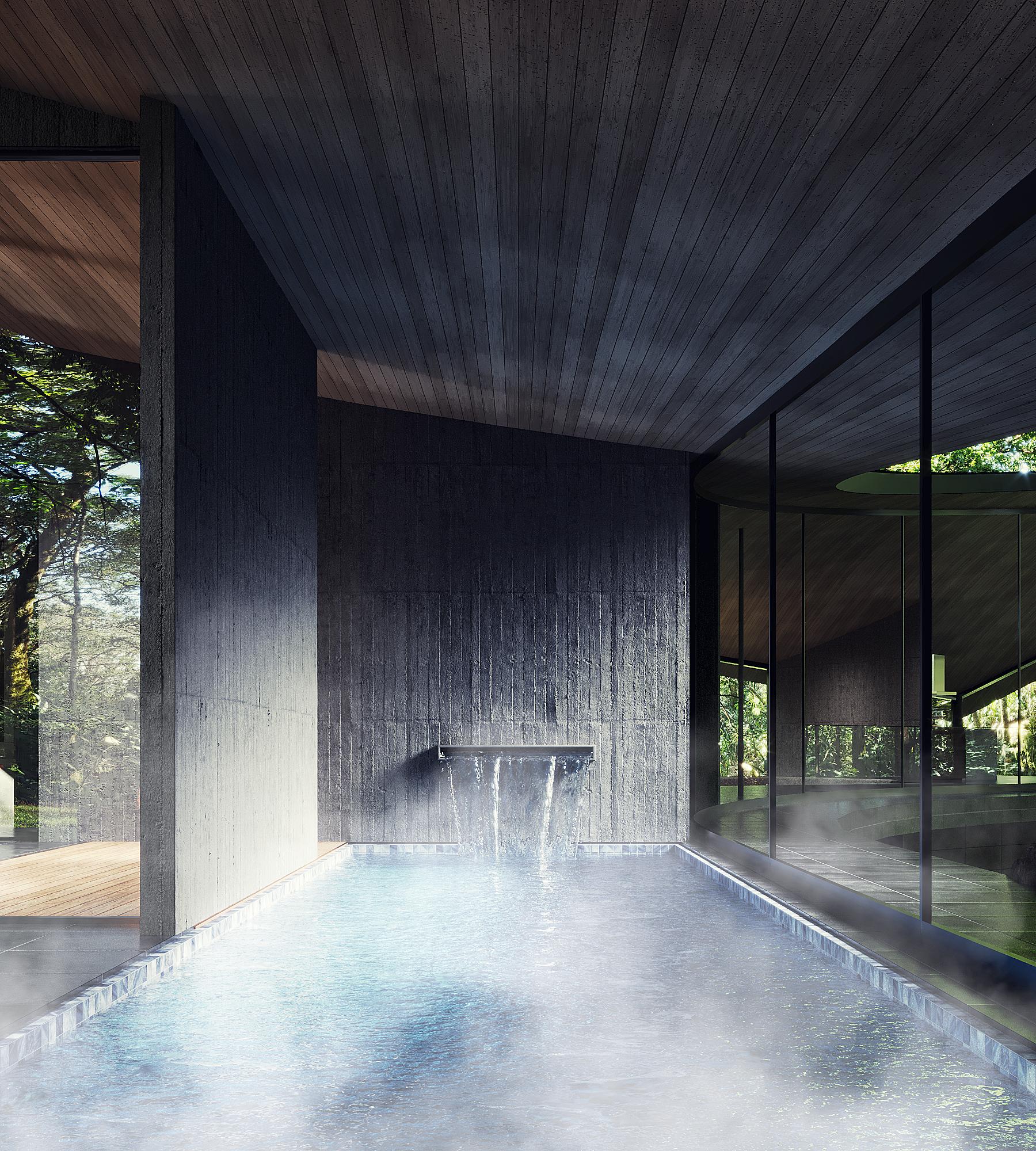 Forest Within - image 6