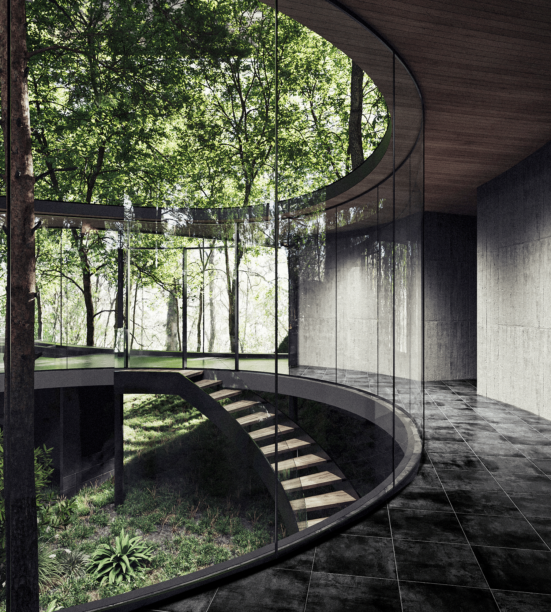 Forest Within - image 8