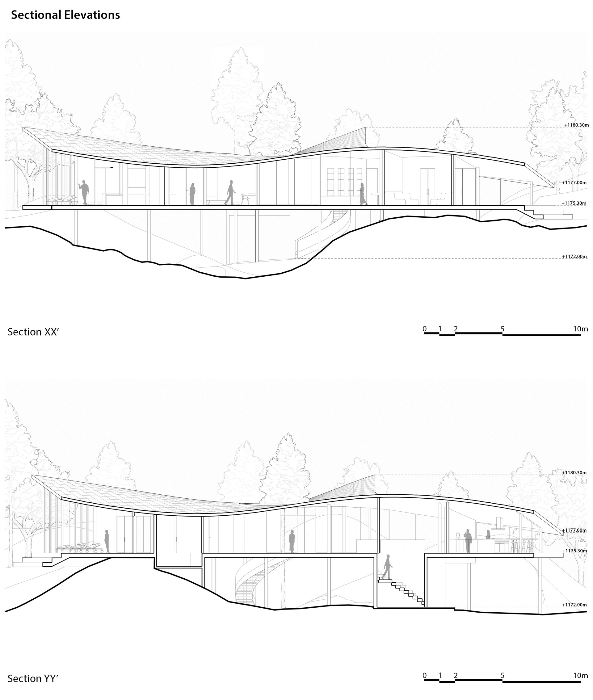 Forest Within - image 13