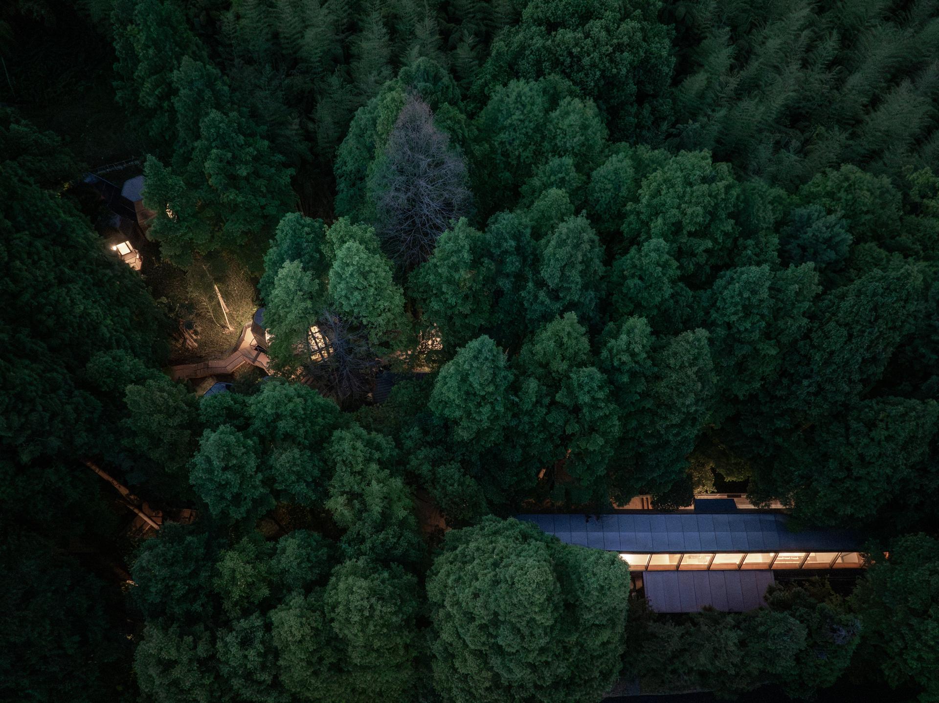 Dongmingshan Senyu Hotel - image 4