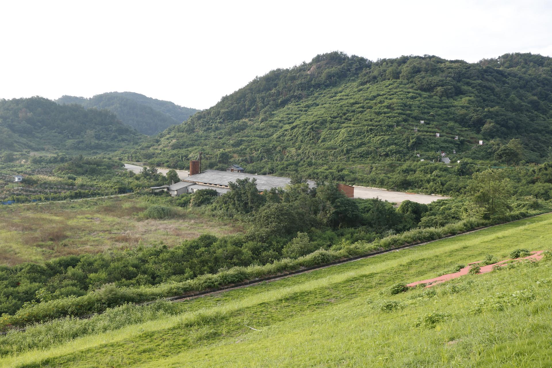 Taoli- Zhaoshan Village Center - image 56