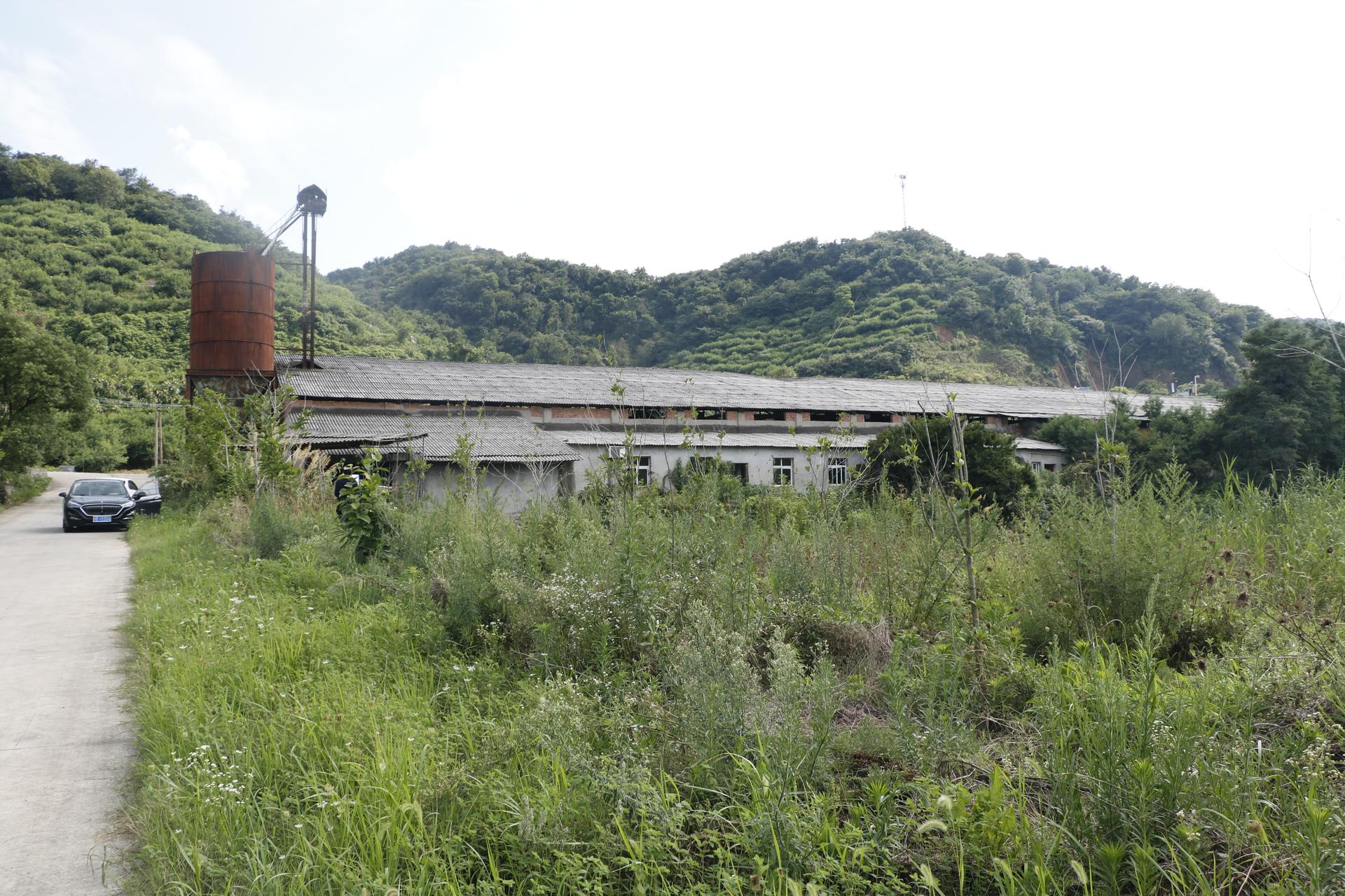 Taoli- Zhaoshan Village Center - image 57