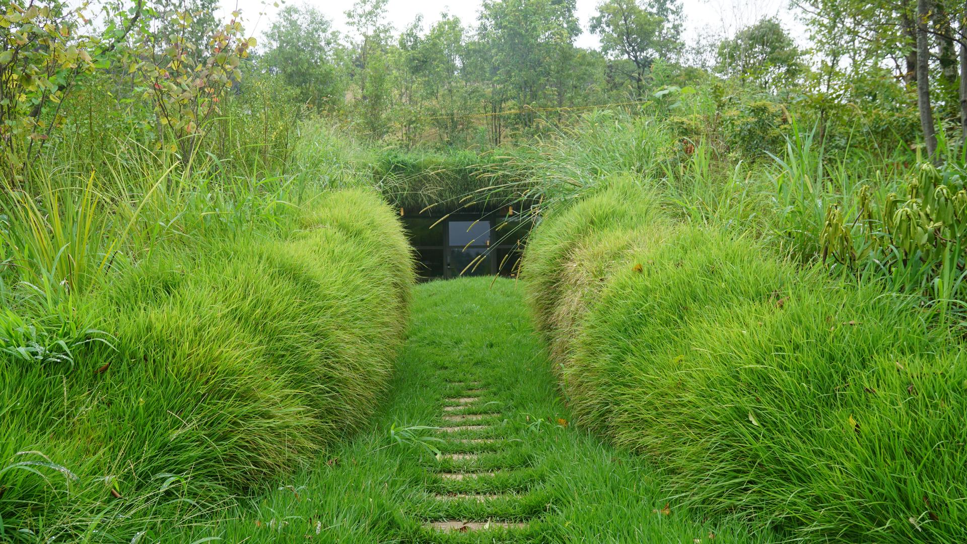 Library in the Earth - image 5
