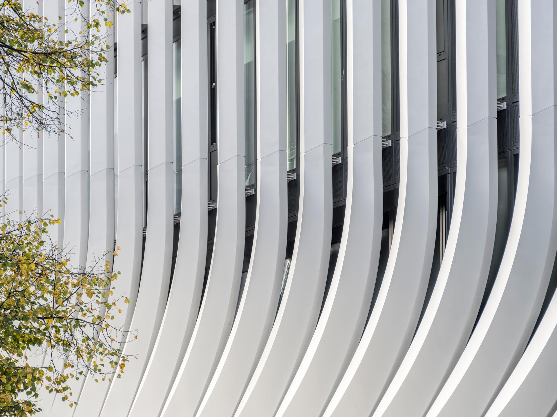SAP Garden - image 5