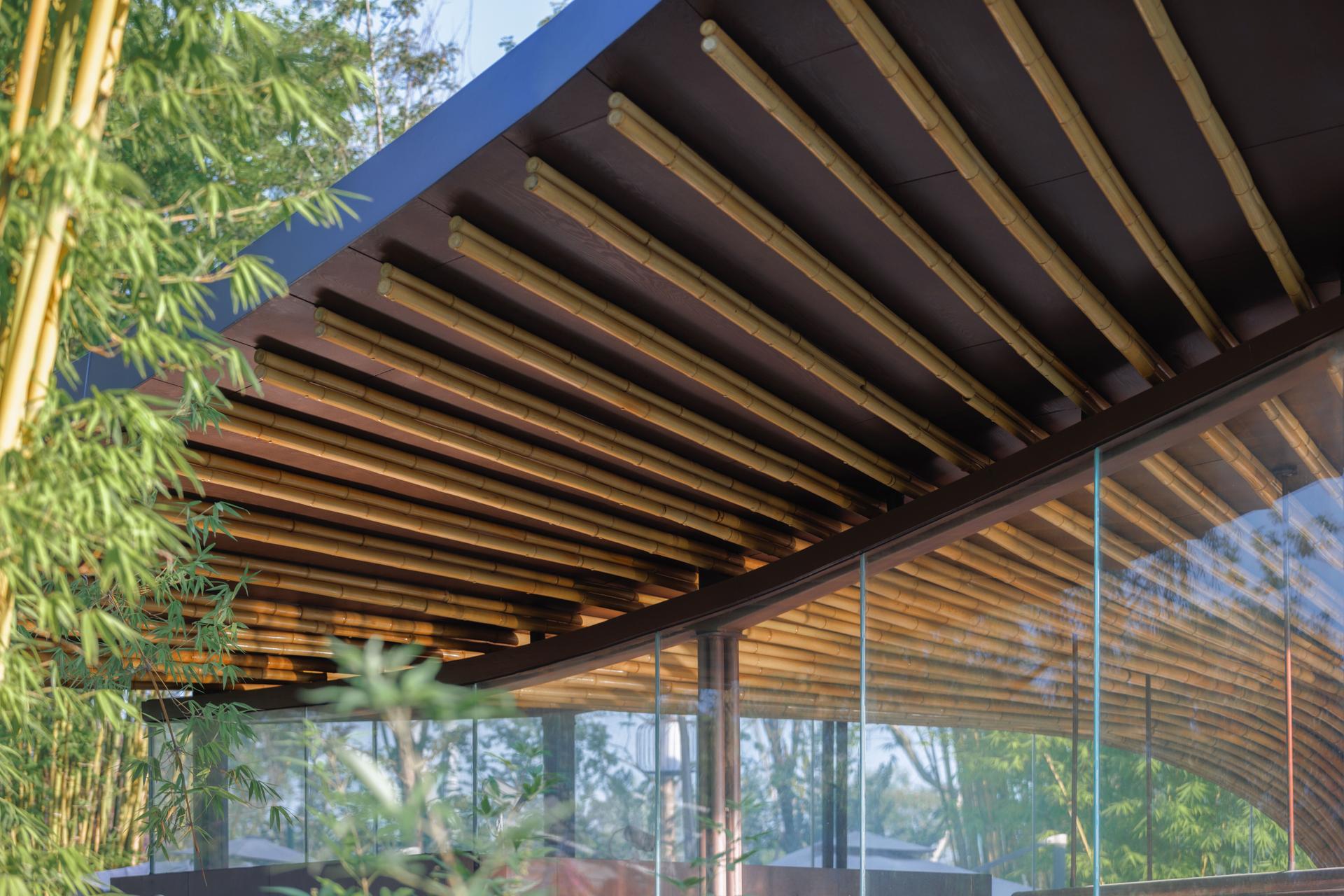 The 2024 Chengdu International Horticultural Expo - Xingcheng Exhibition Garden - image 20