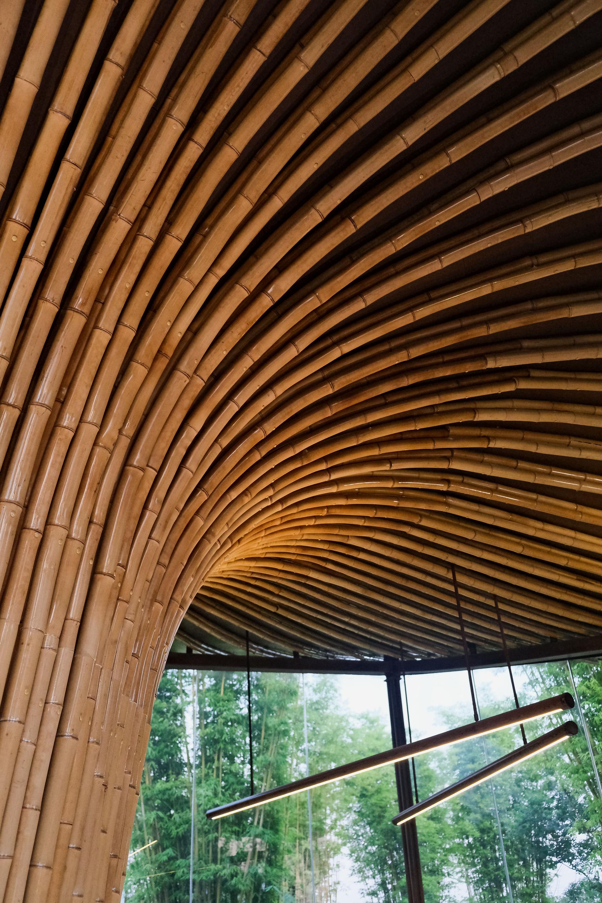 The 2024 Chengdu International Horticultural Expo - Xingcheng Exhibition Garden - image 22