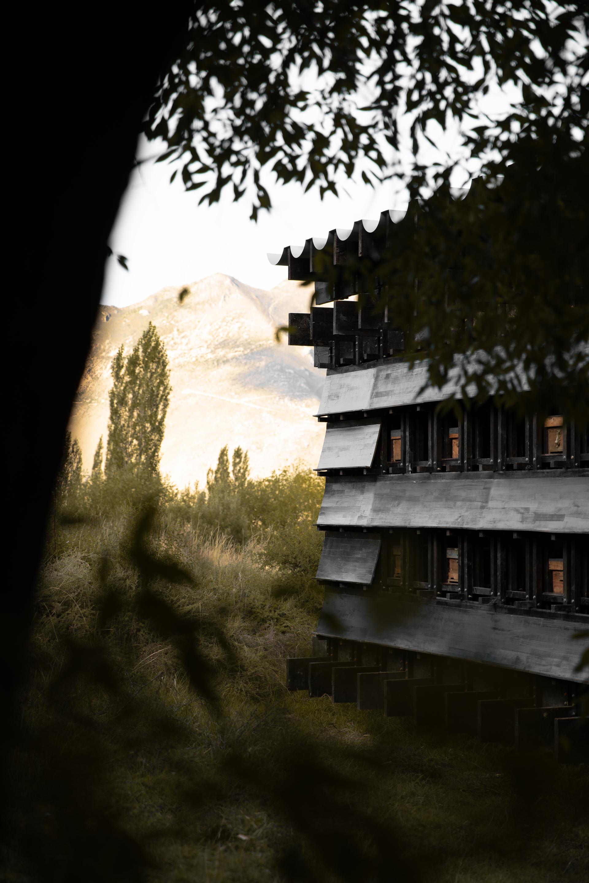 Shannan Beehive Observation Cabin - image 4