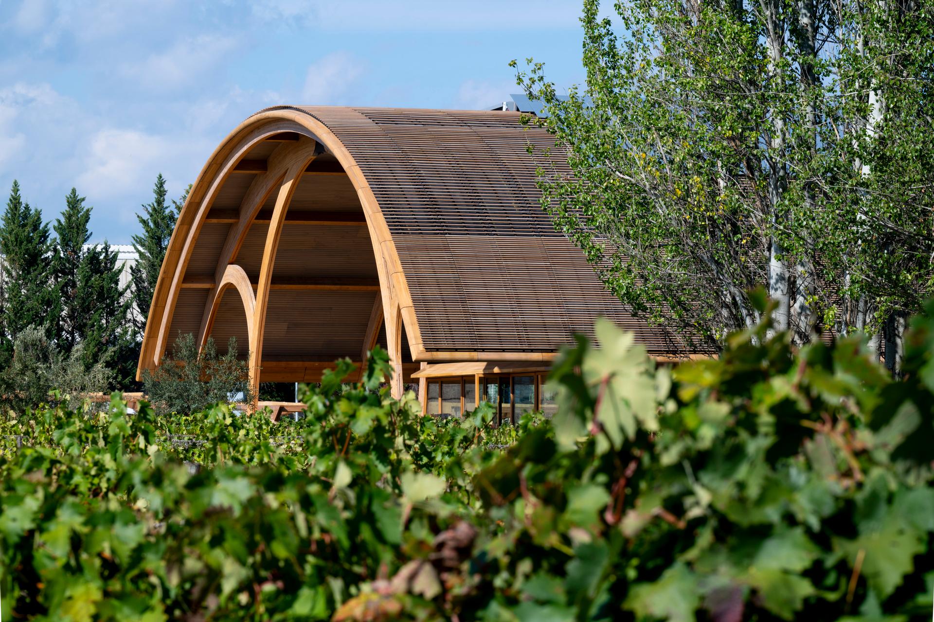 Legacy of Bodegas Faustino Winery
