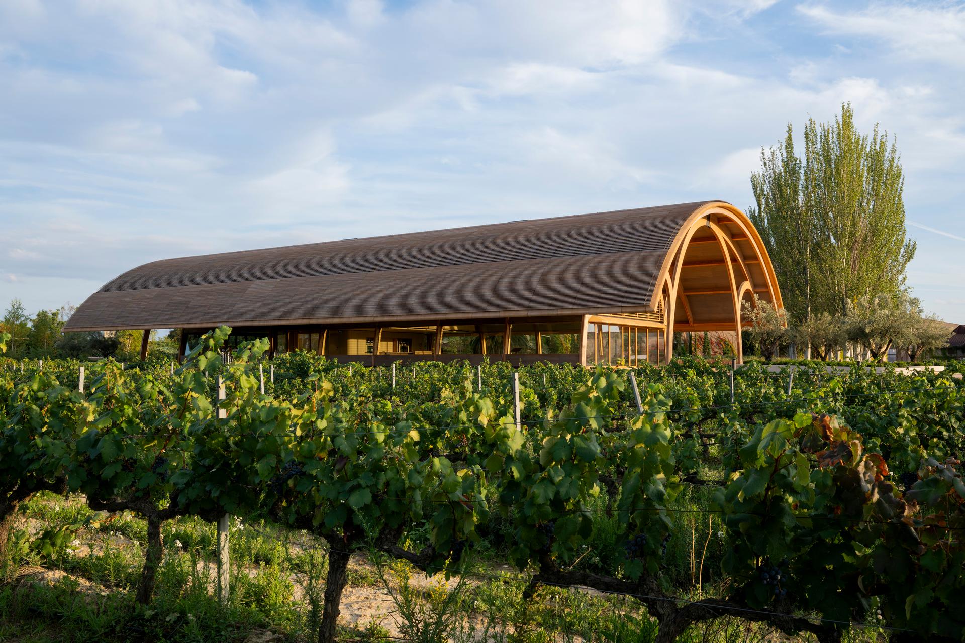 Legacy of Bodegas Faustino Winery - image 4