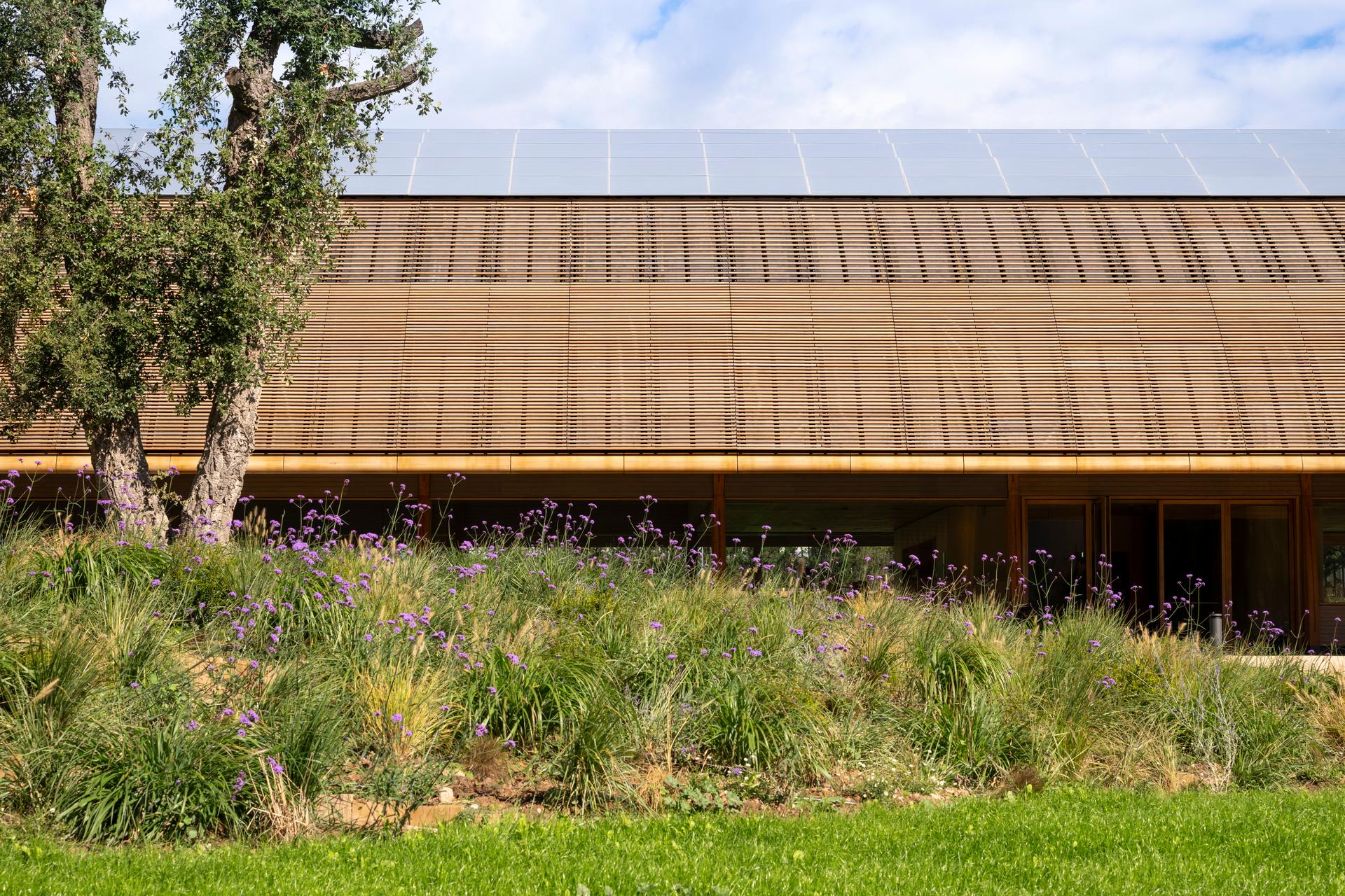Legacy of Bodegas Faustino Winery - image 8