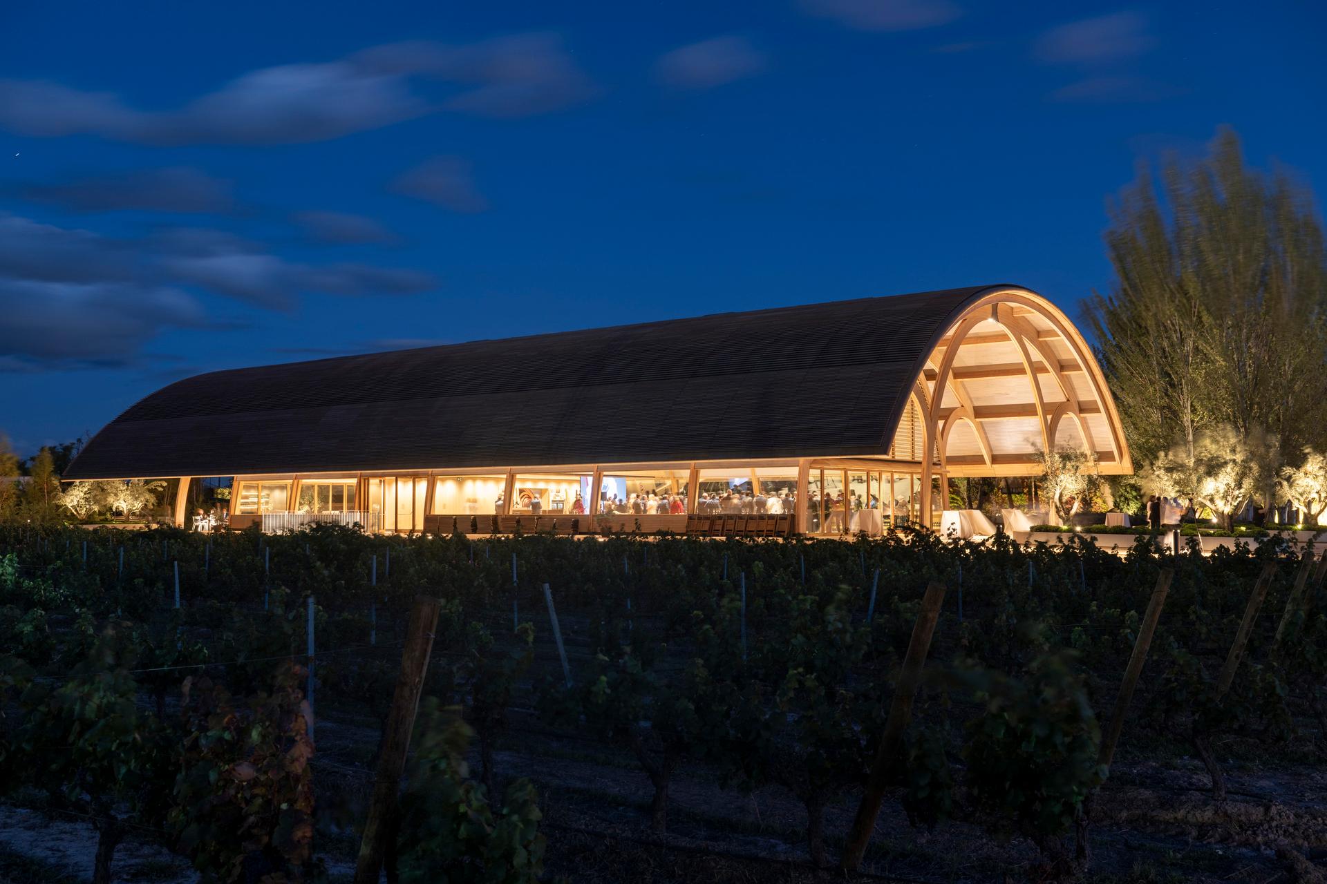 Legacy of Bodegas Faustino Winery - image 12
