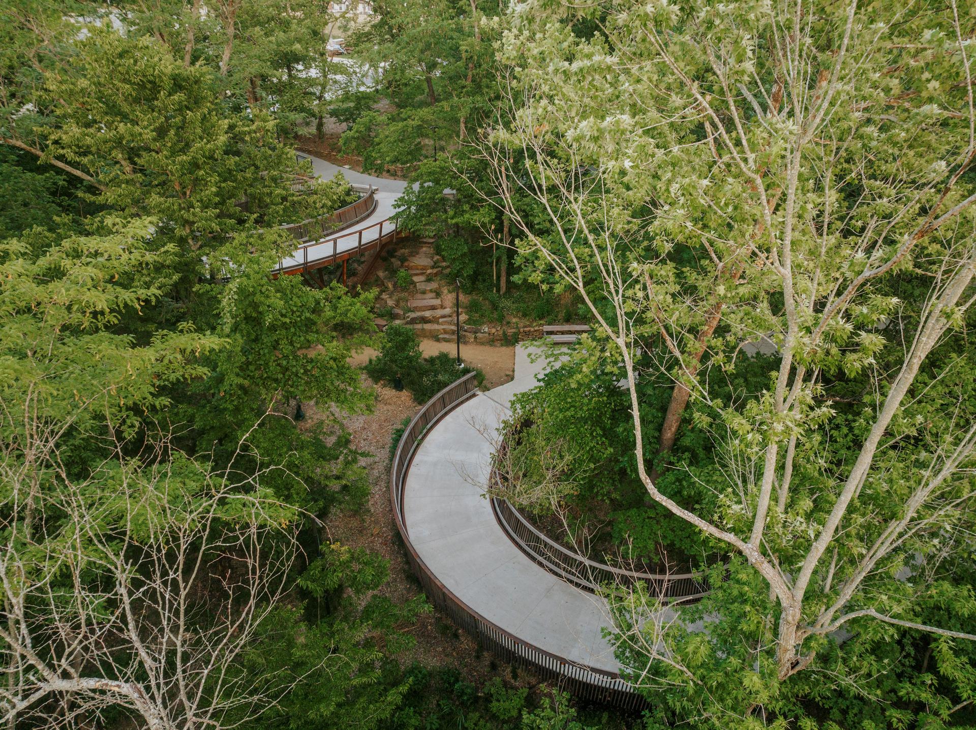 The Lower Ramble - image 2