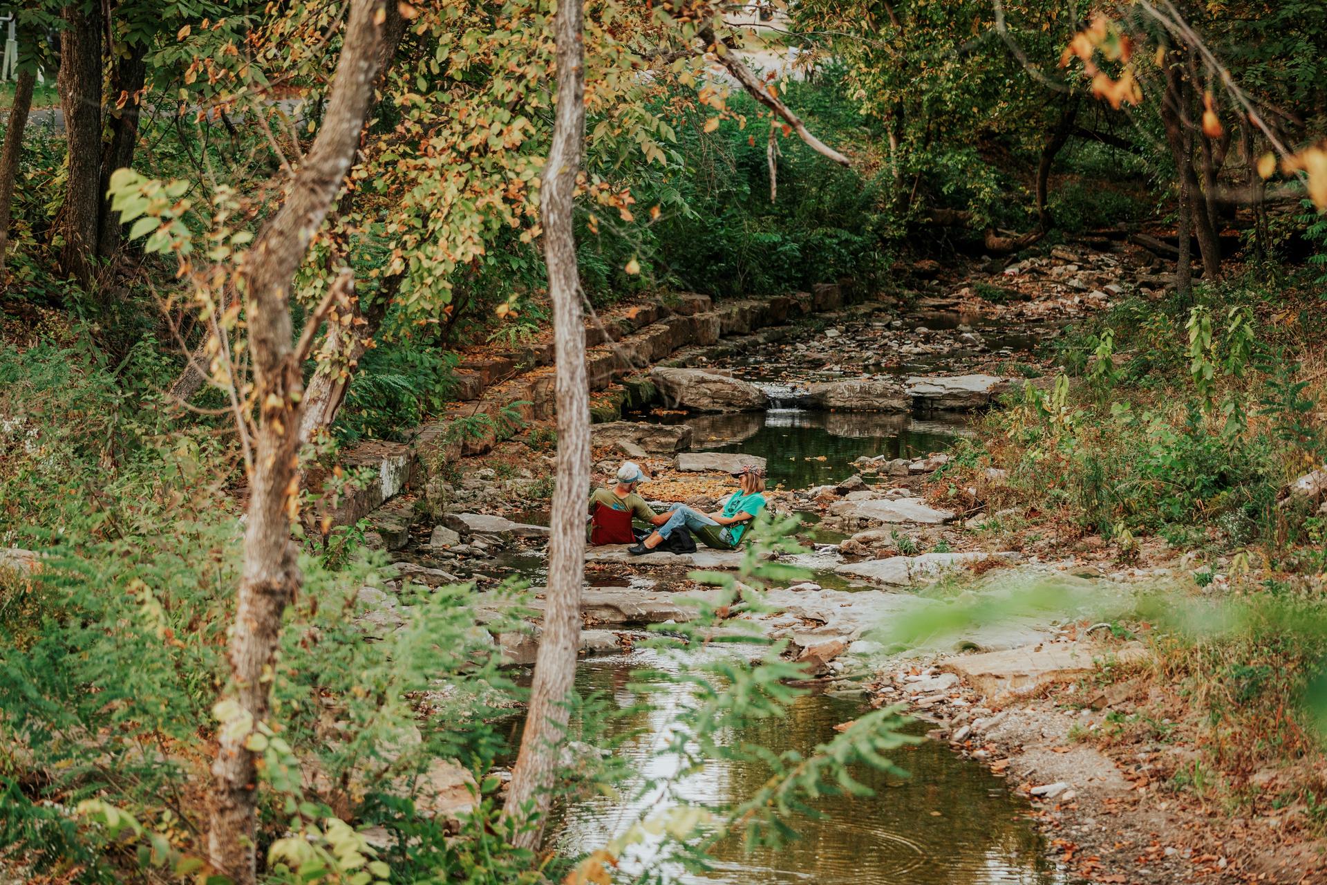 The Lower Ramble - image 4