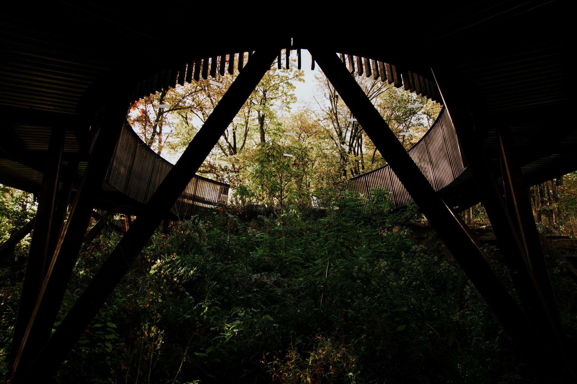 The Lower Ramble - image 8