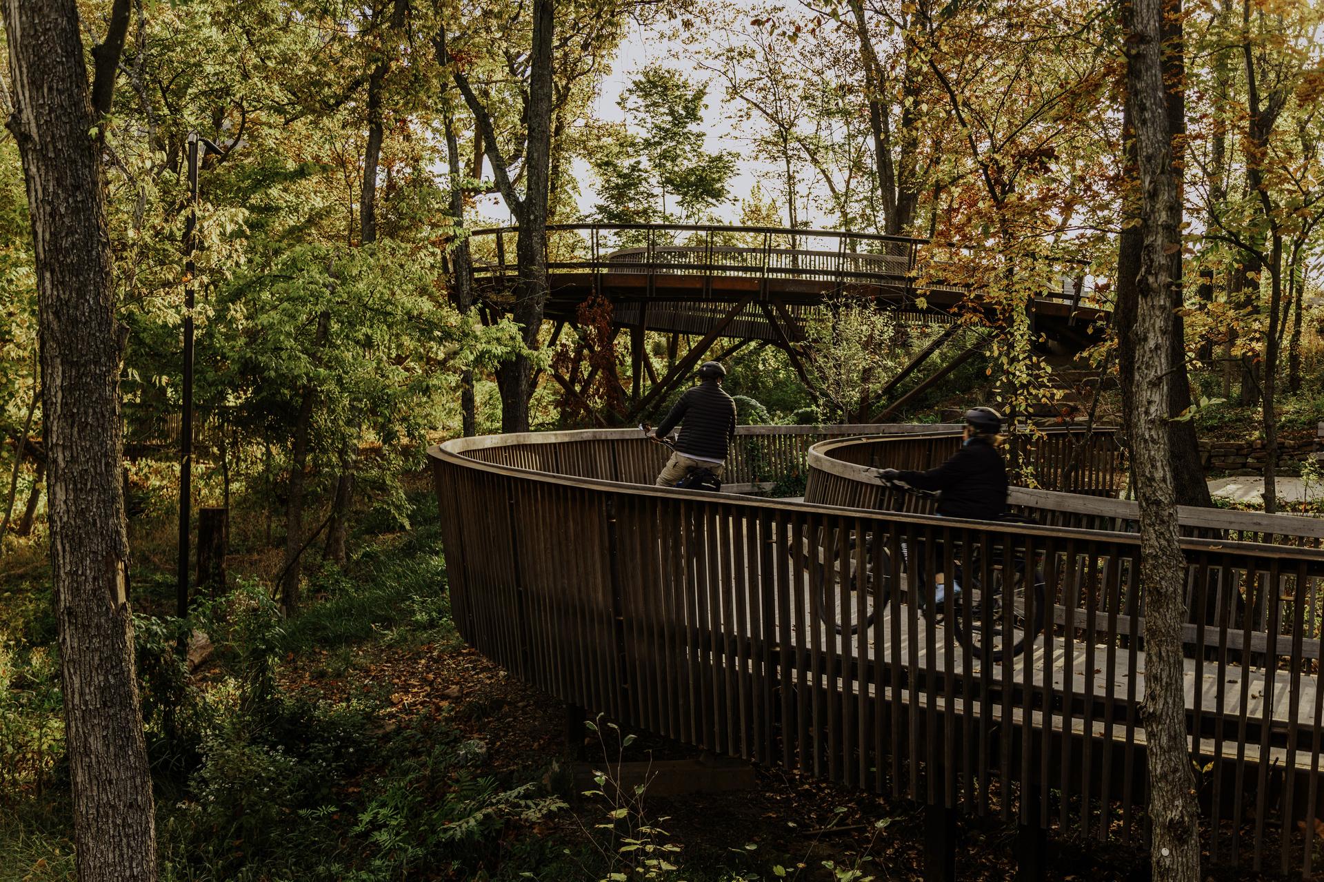 The Lower Ramble - image 7