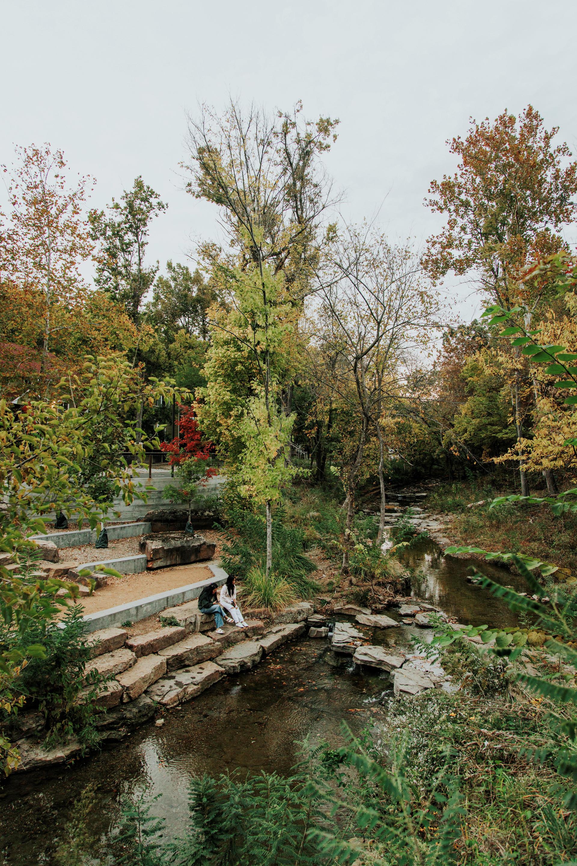 The Lower Ramble - image 6