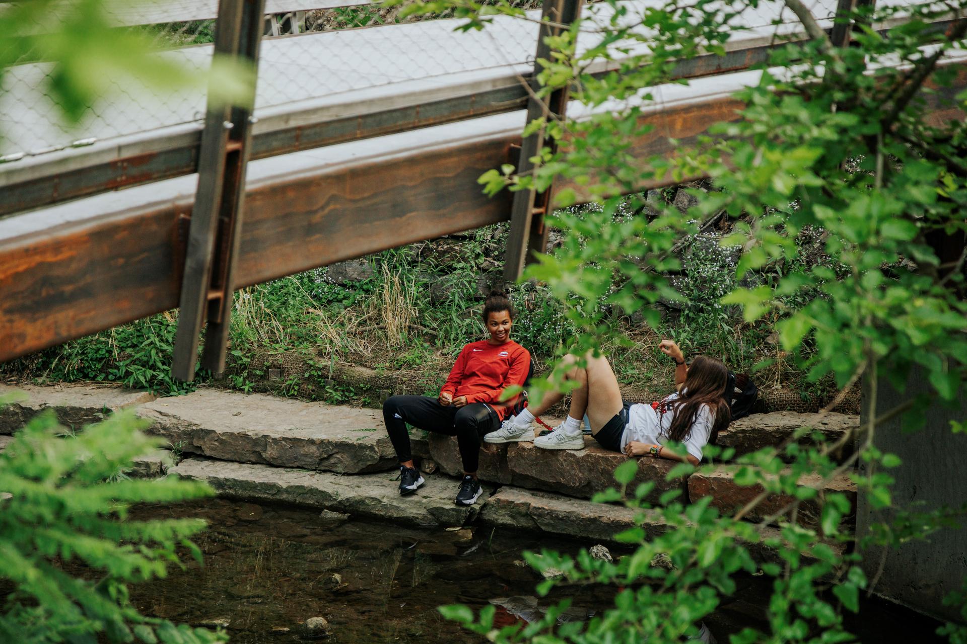 The Lower Ramble - image 11