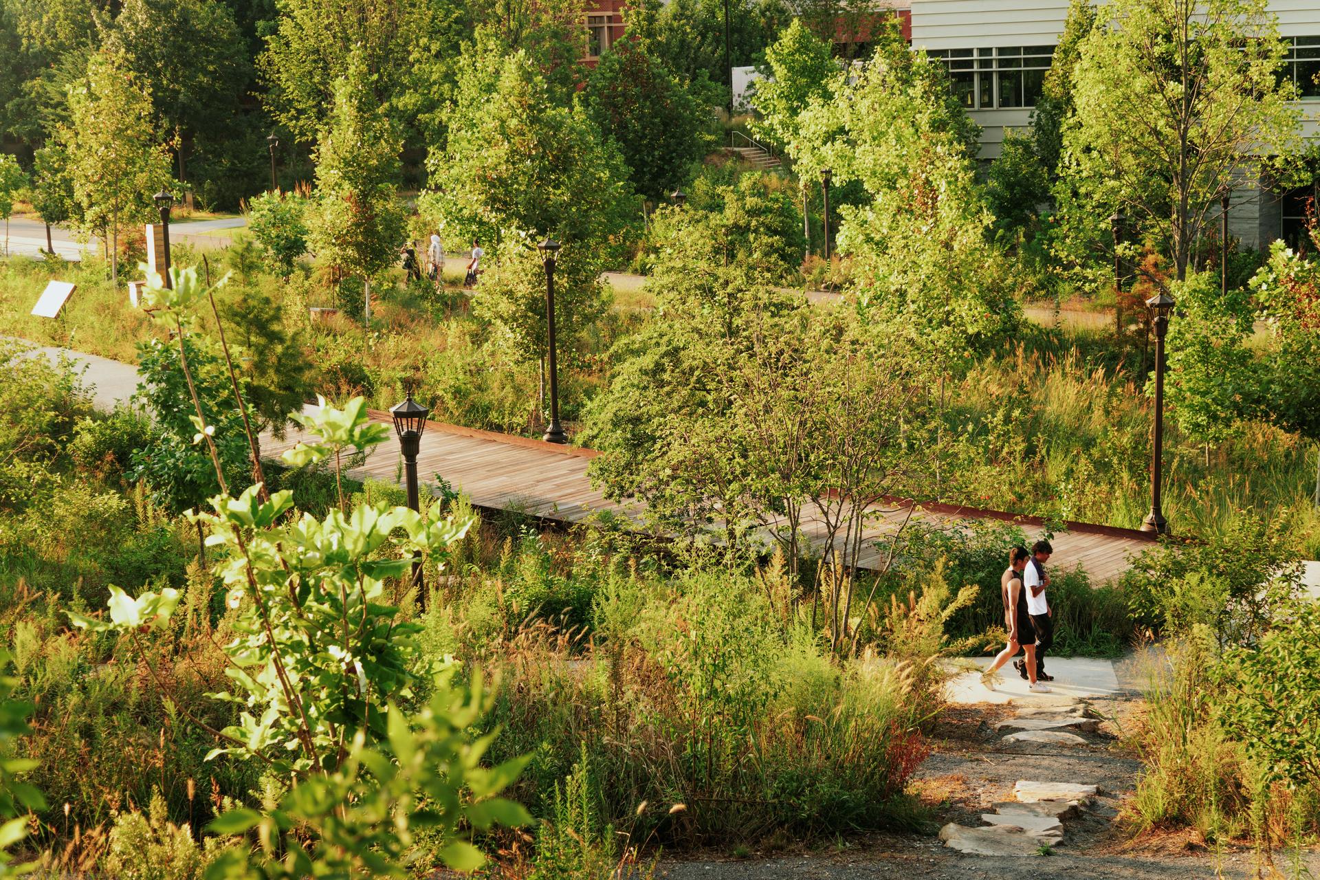 Georgia Institute of Technology EcoCommons - image 5