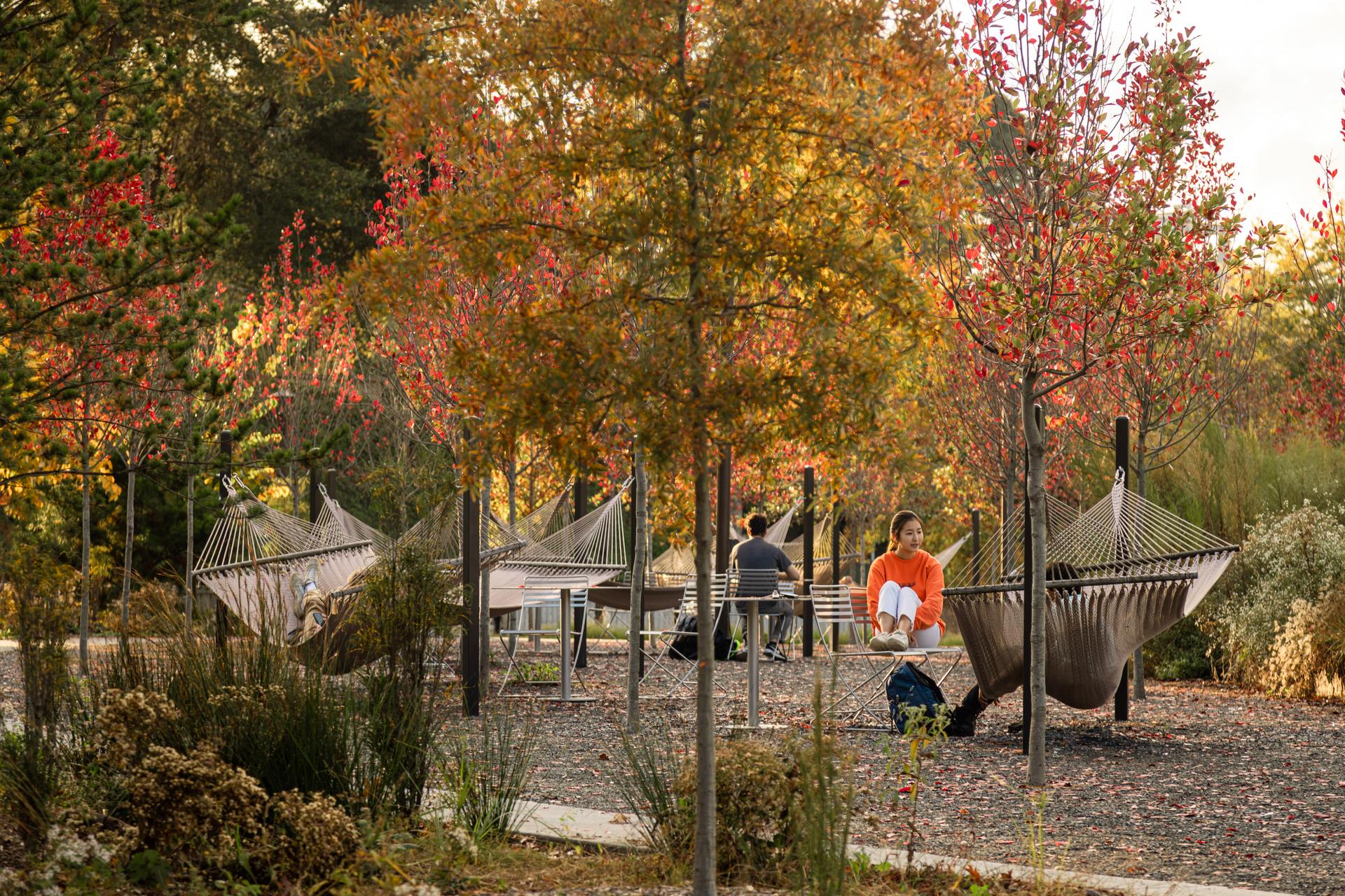 Georgia Institute of Technology EcoCommons - image 7