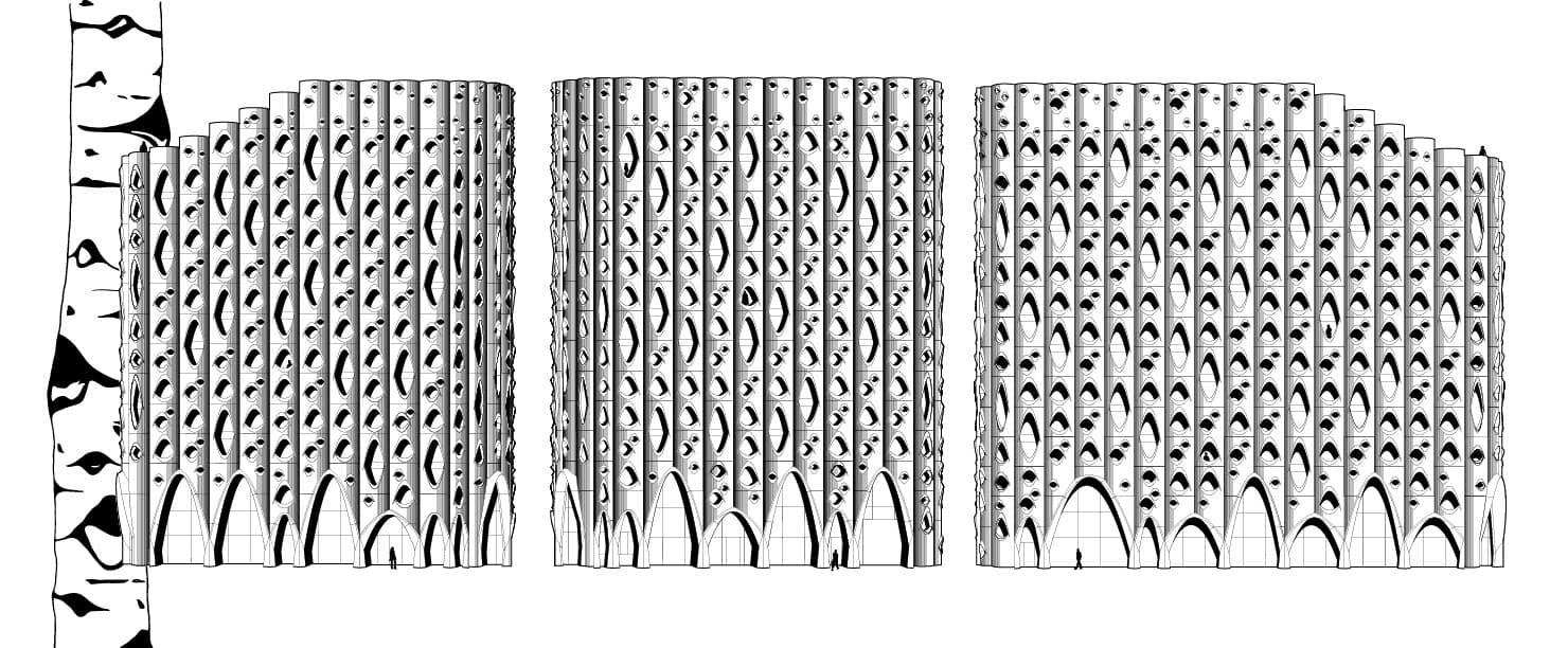 Populus - image 3