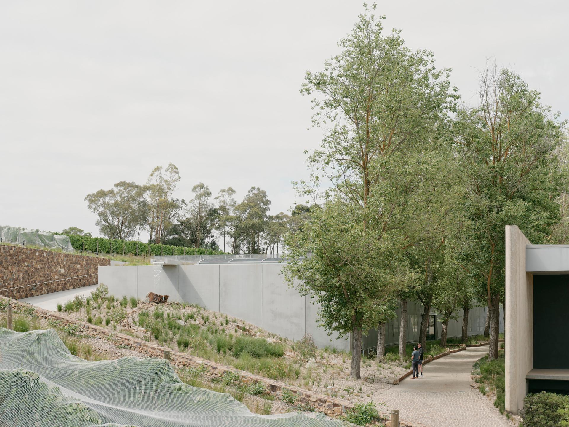 Eva and Marc Besen Centre - image 12