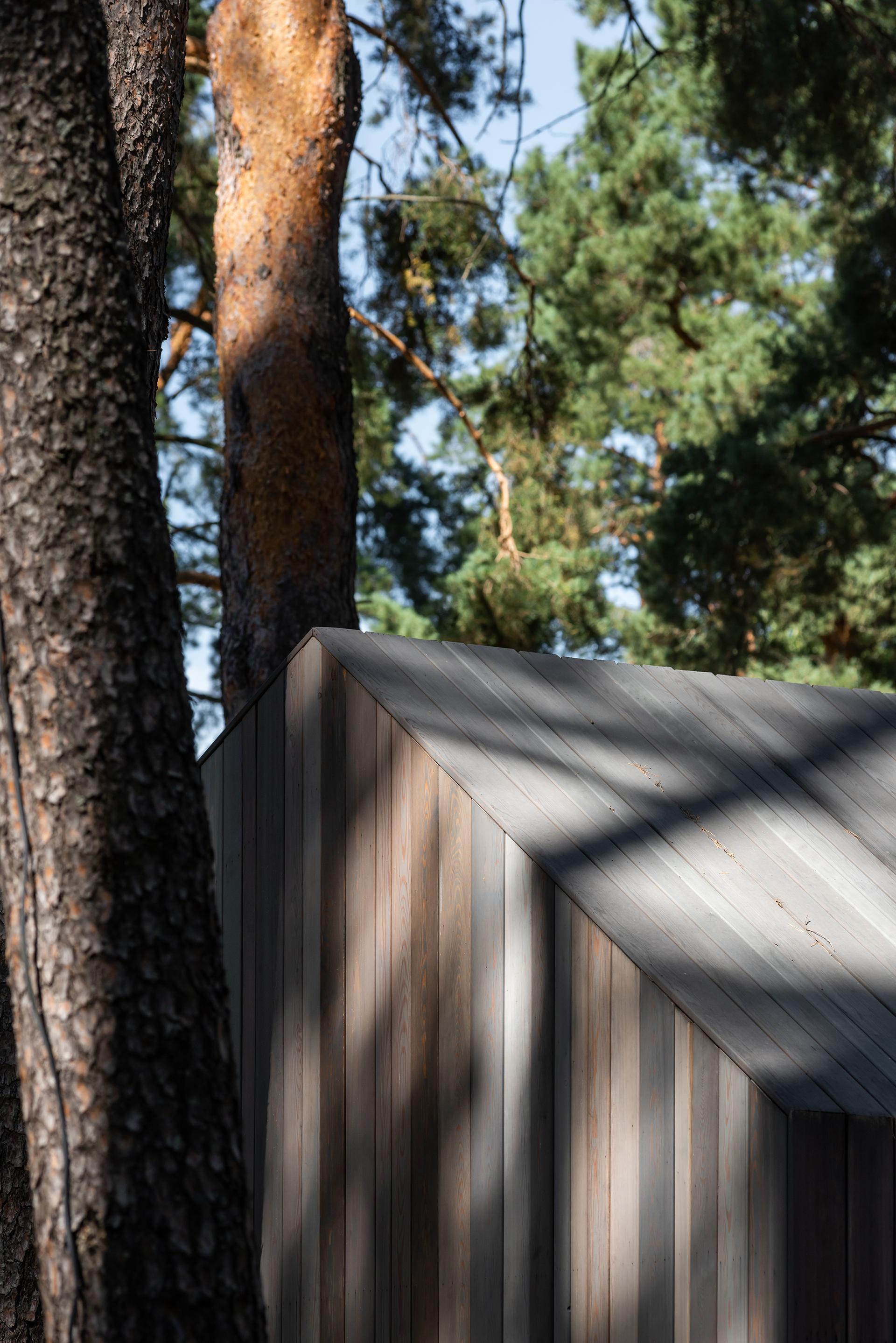 Summer Patio - image 7