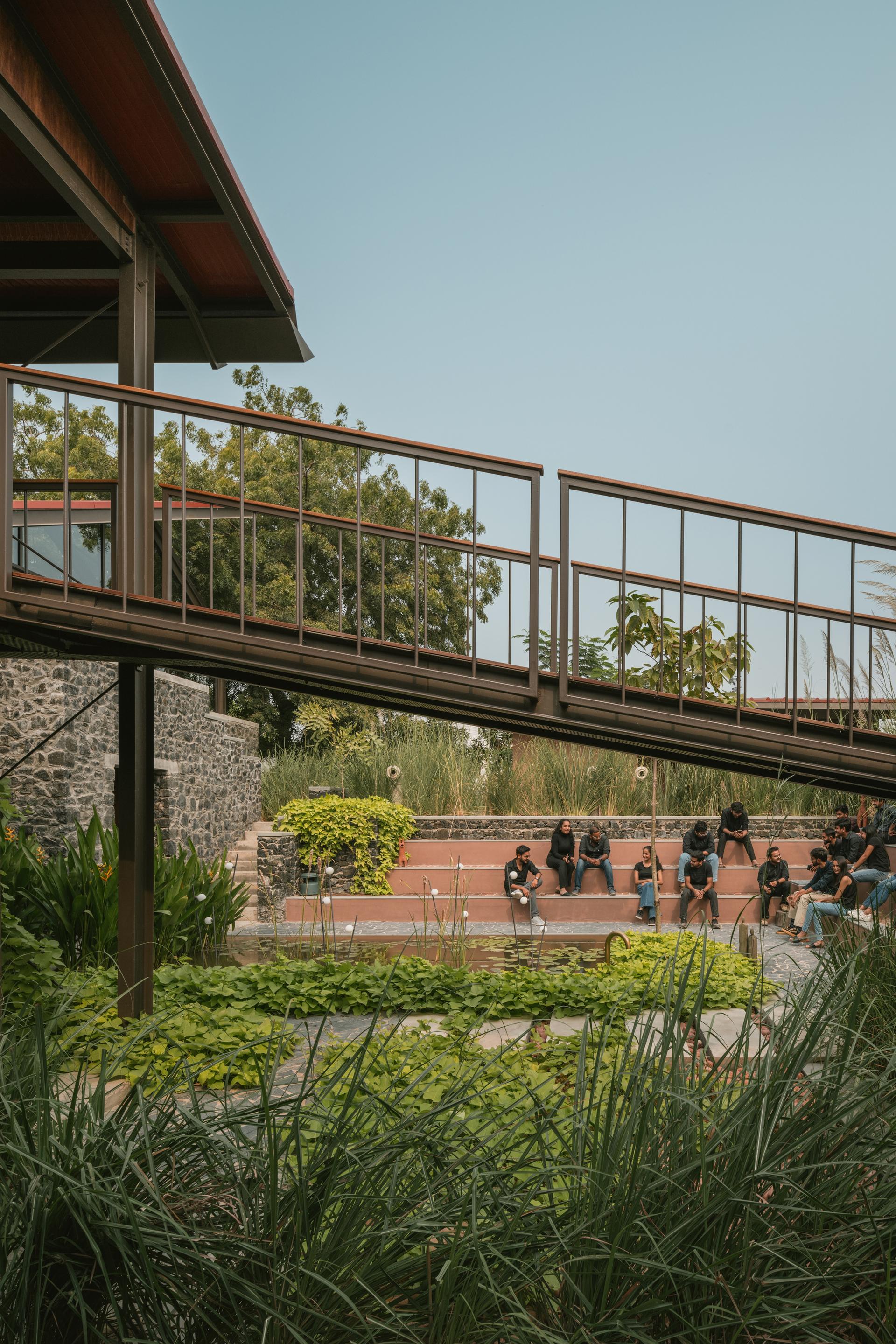 Oasis - image 5