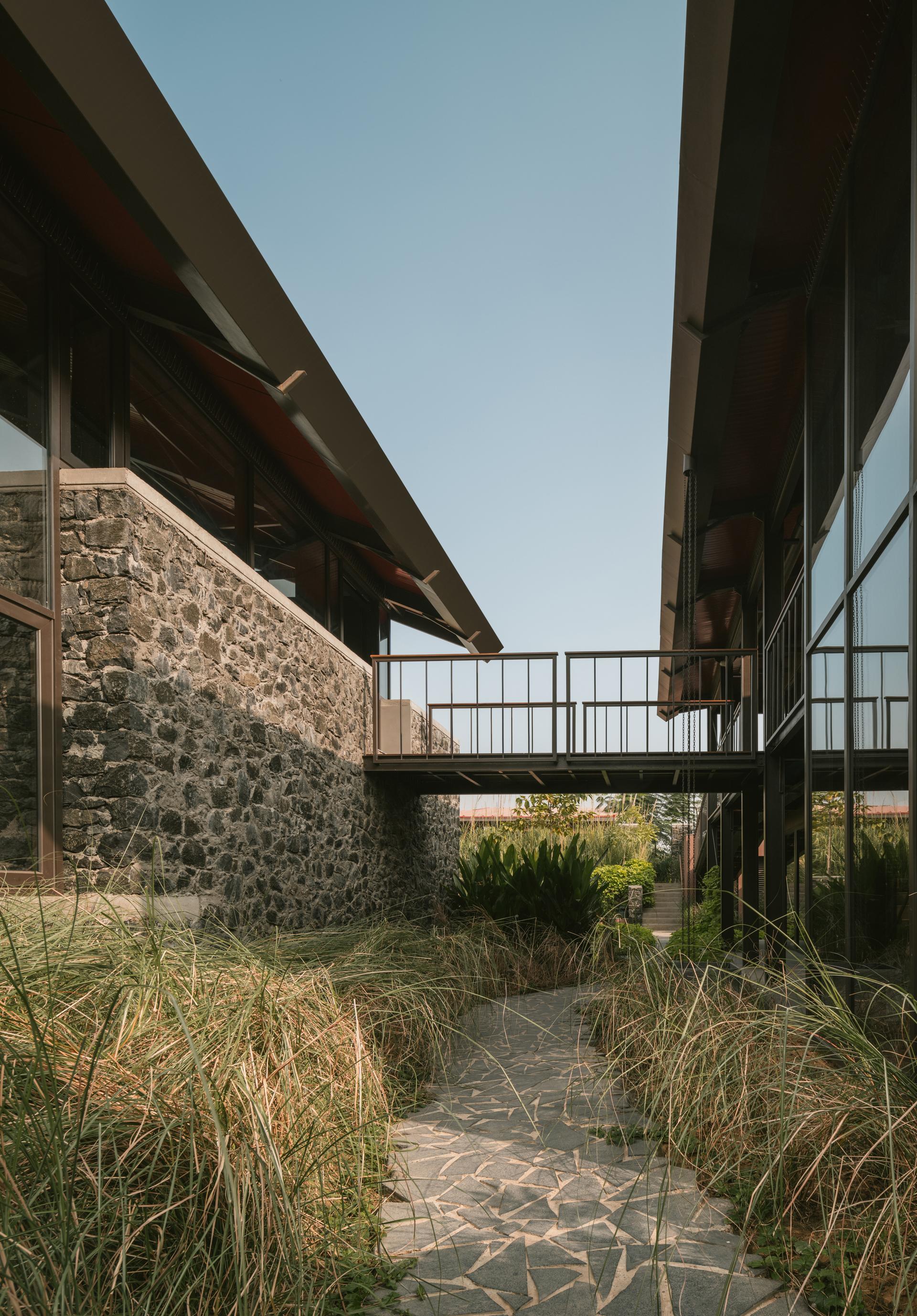 Oasis - image 6