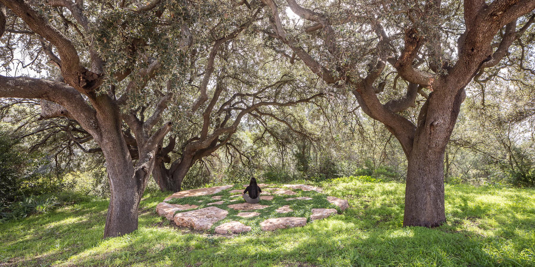 Hotel Masía Can Farrés. Restoring the links between architecture and landscape - image 9