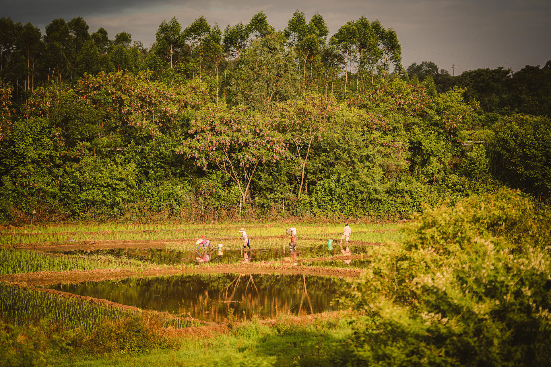 Duling Educational and Cultural Centre - image 4