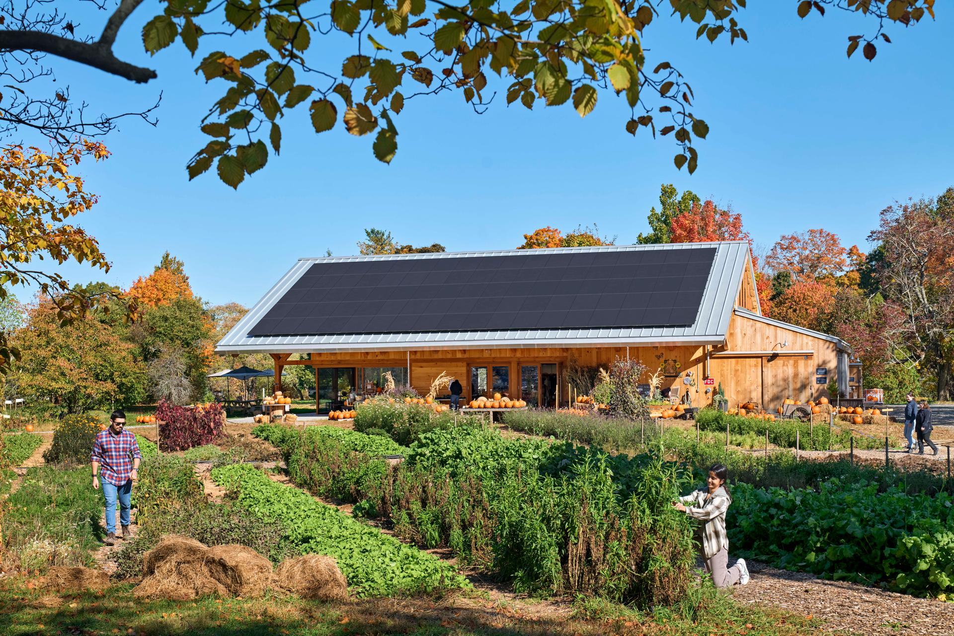 Land's Sake Farm, New Farmstand, Education Pavilion and Barn - image 26