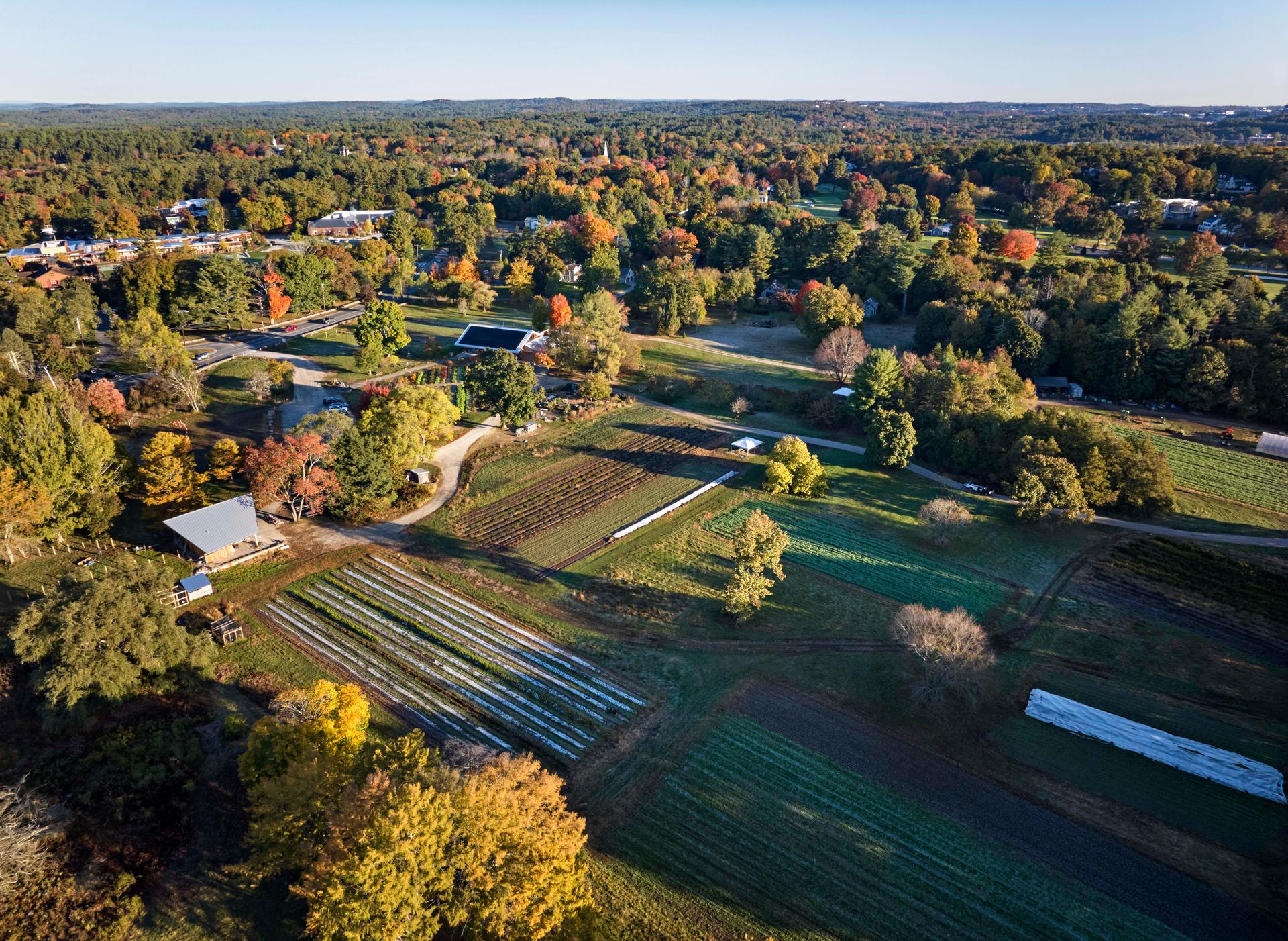 Land's Sake Farm, New Farmstand, Education Pavilion and Barn - image 4