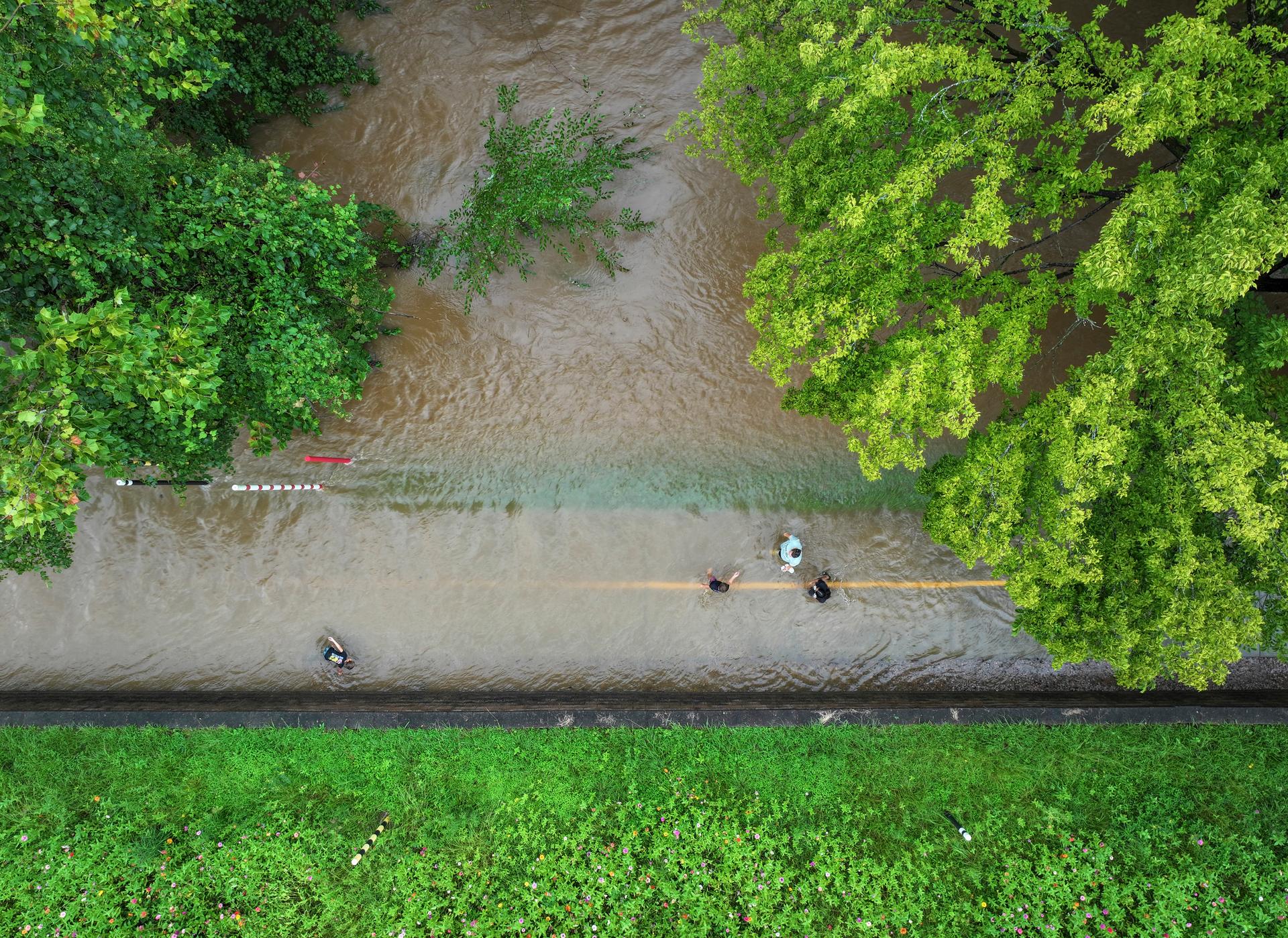Alluvial Decoder (City of Raleigh Storm Memorial) - image 11