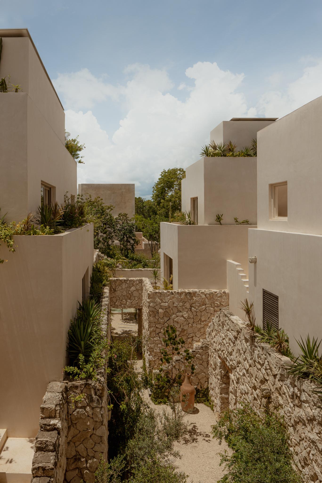 Hacienda Wabi - image 6