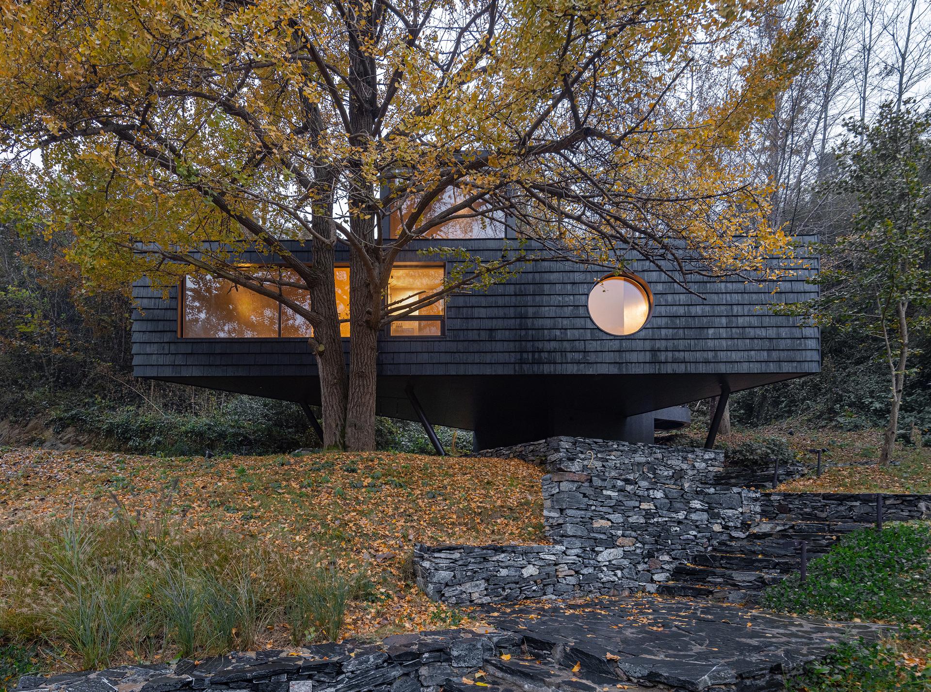 Ginkgo Valley·Treehouse