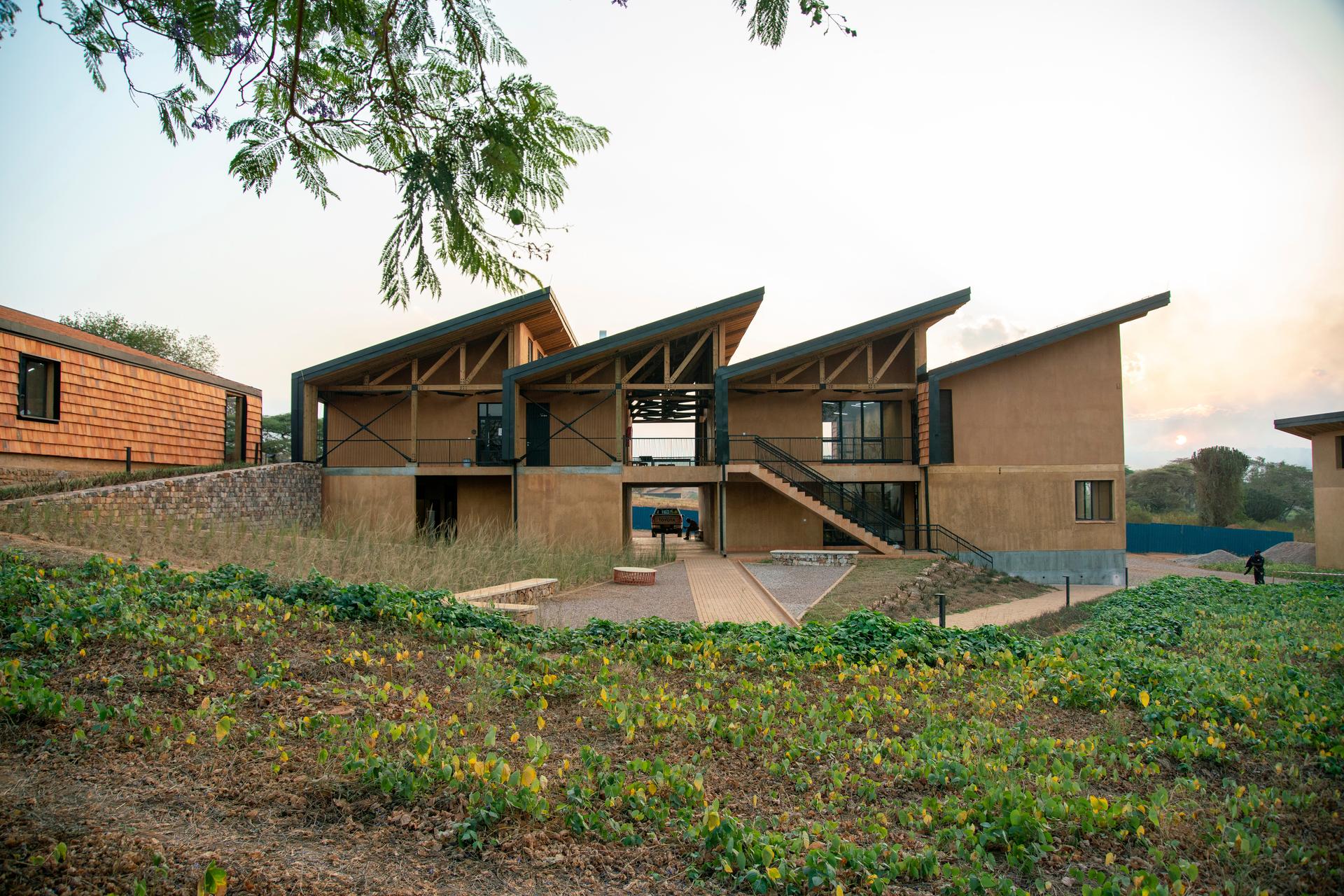The Rwanda Institute for Conservation Agriculture - image 7