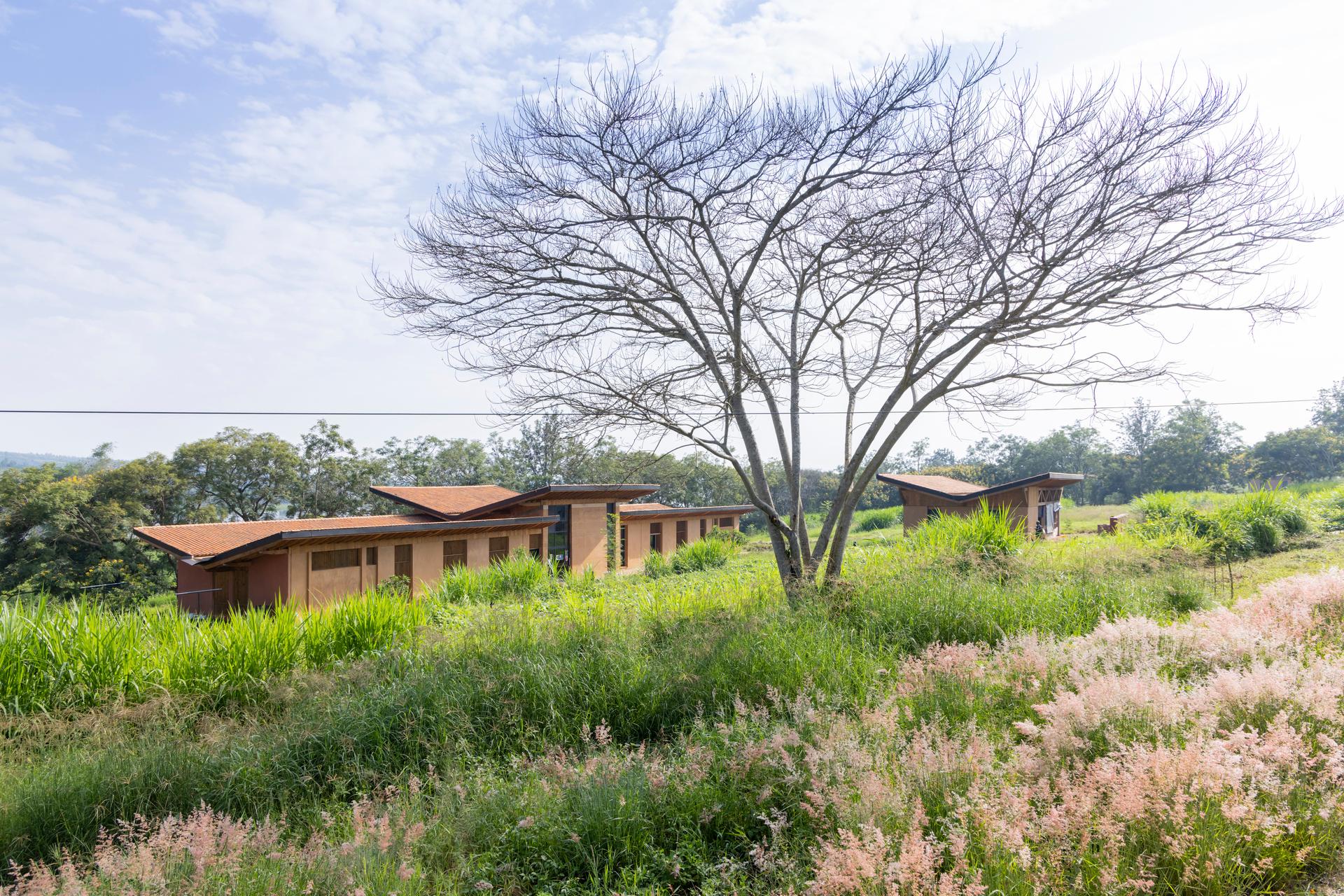 The Rwanda Institute for Conservation Agriculture - image 5
