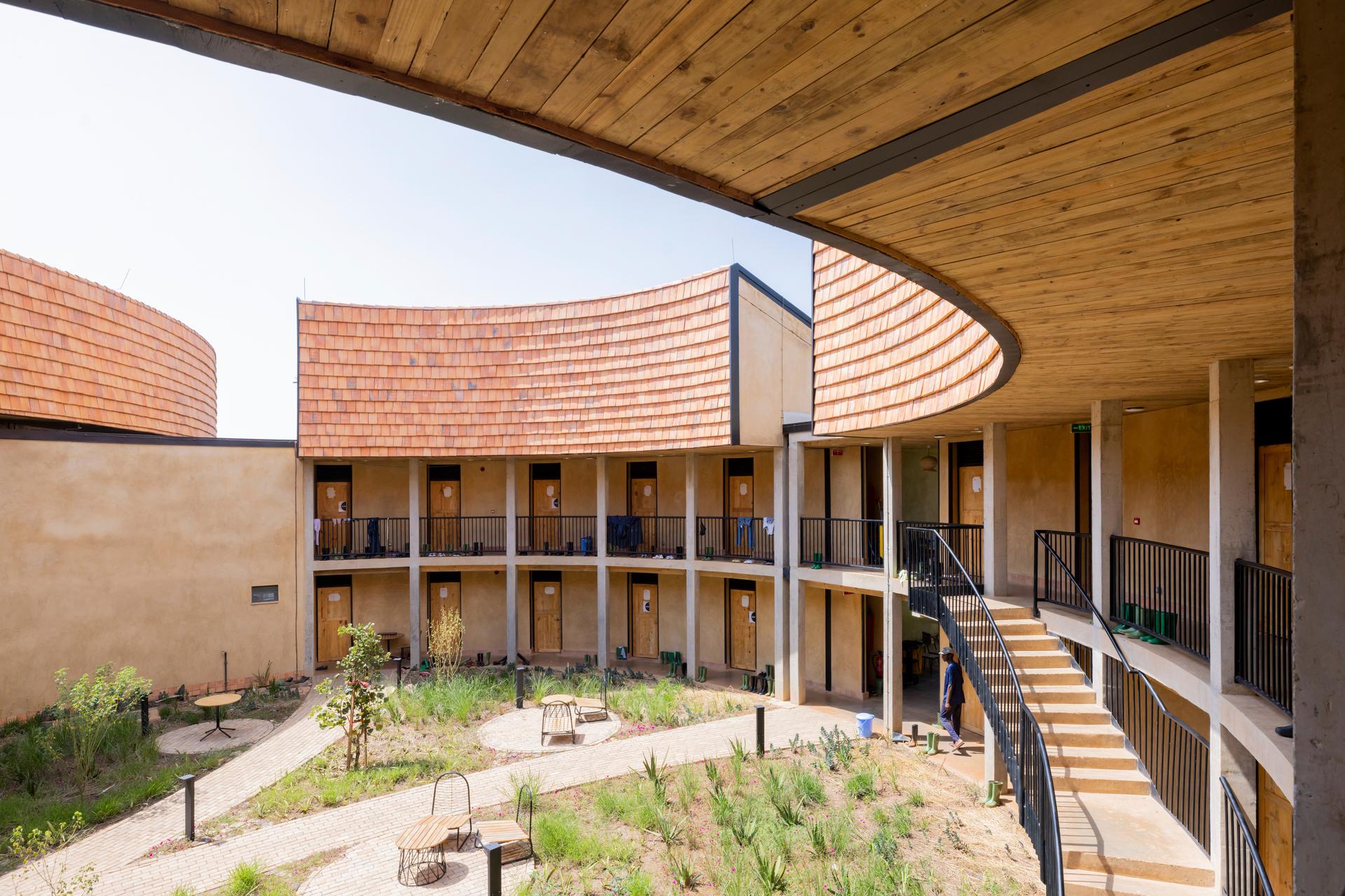 The Rwanda Institute for Conservation Agriculture - image 4