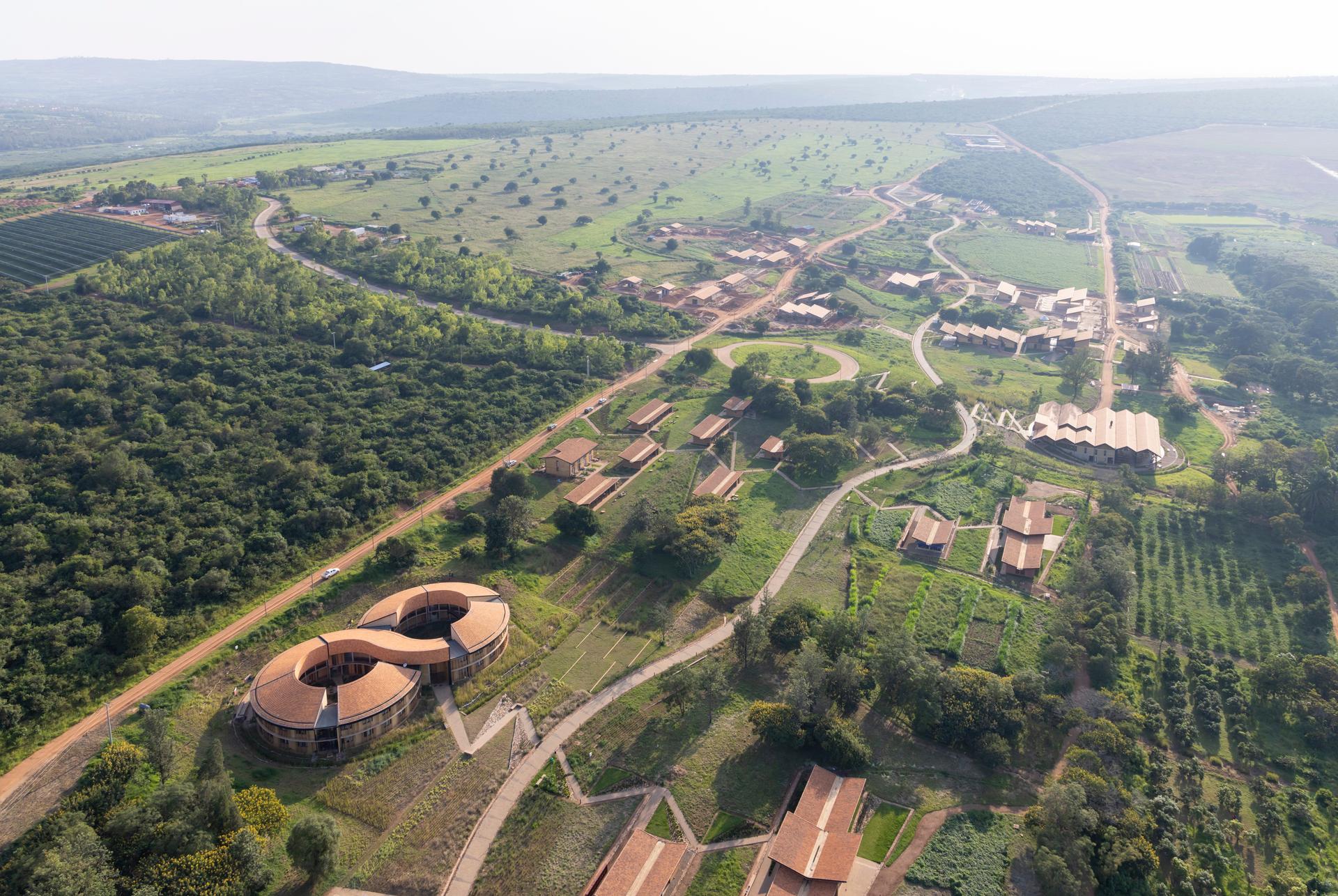 The Rwanda Institute for Conservation Agriculture - image 2