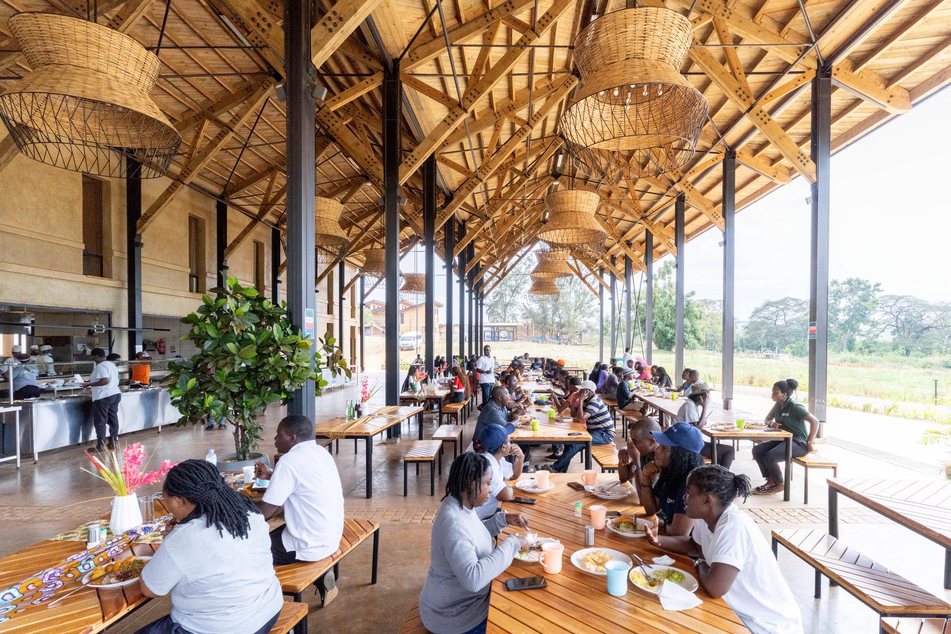 The Rwanda Institute for Conservation Agriculture - image 10