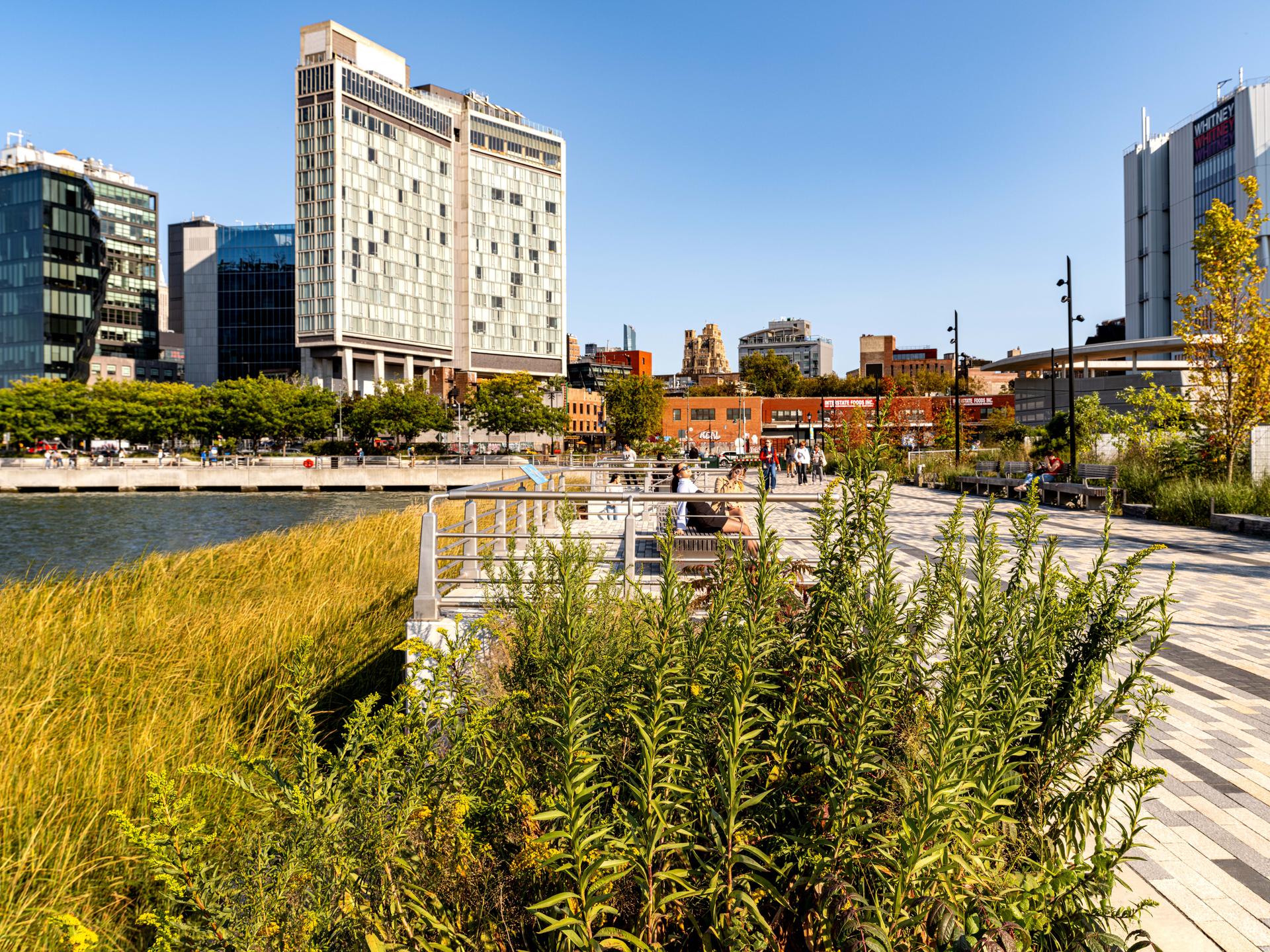 Hudson River Park’s Gansevoort Peninsula - image 10