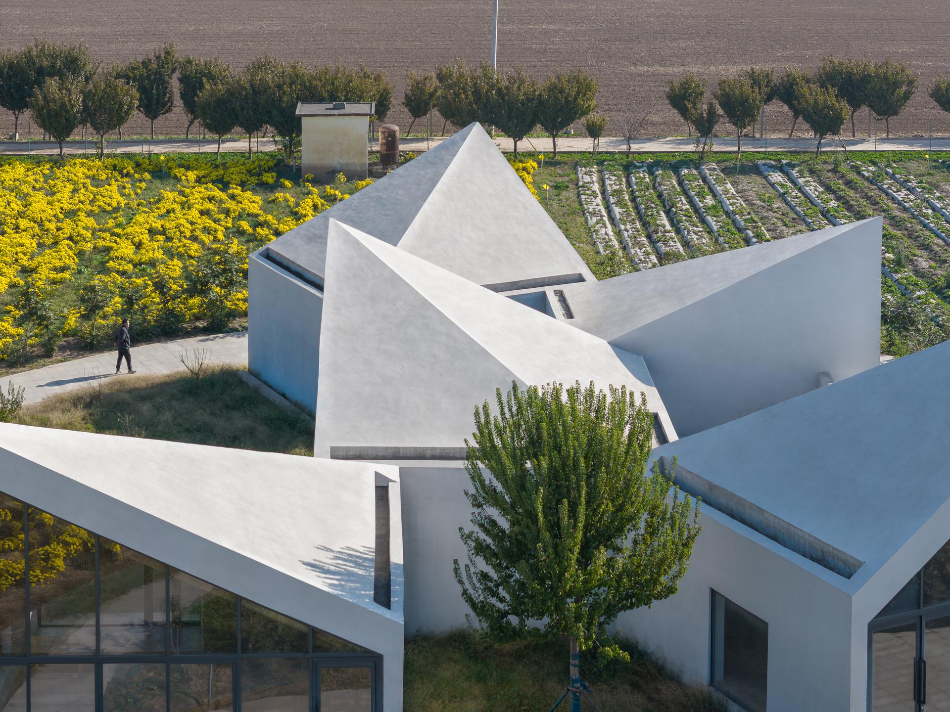 Library in Ice-Chrysanthemum Field - image 8