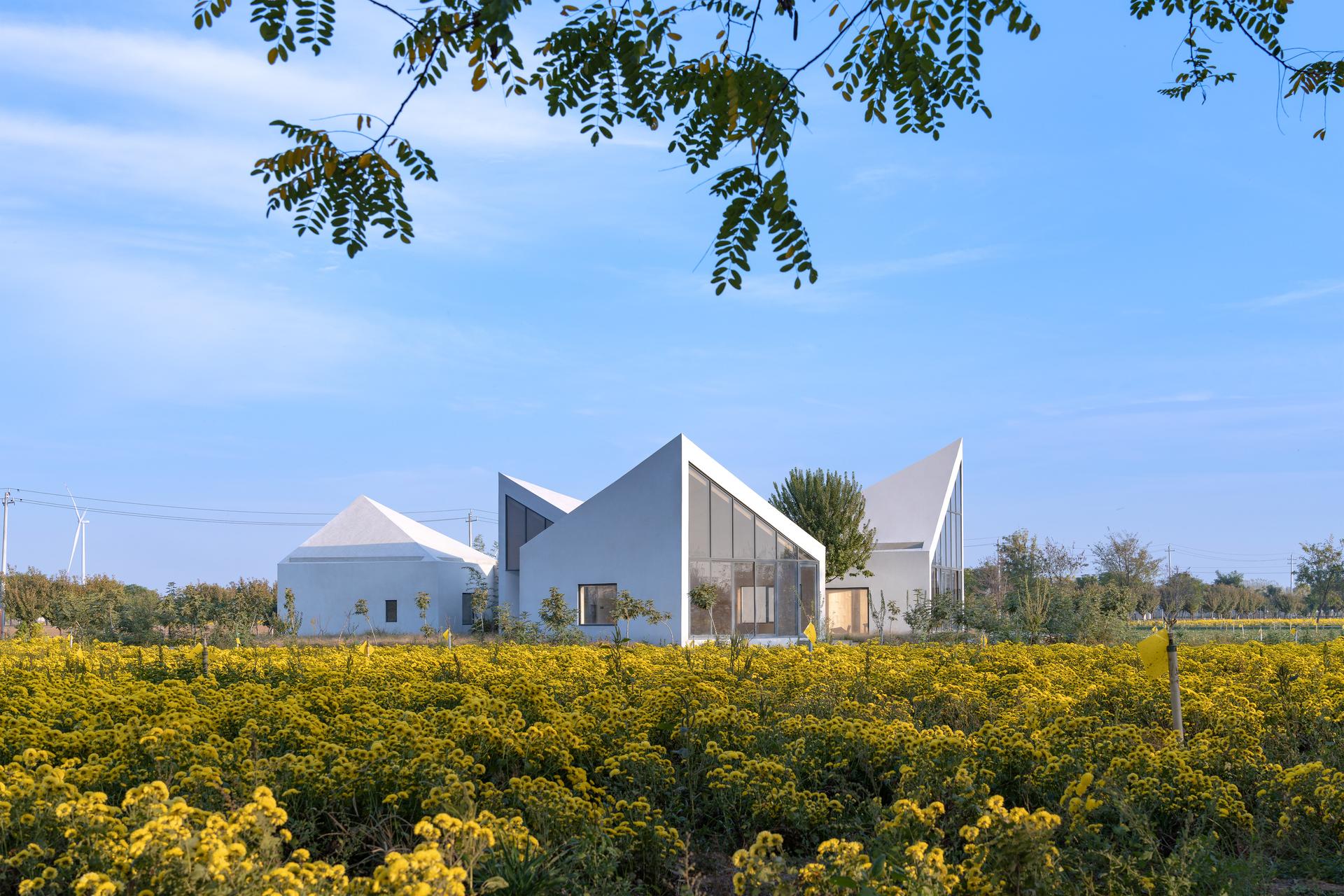 Library in Ice-Chrysanthemum Field - image 9
