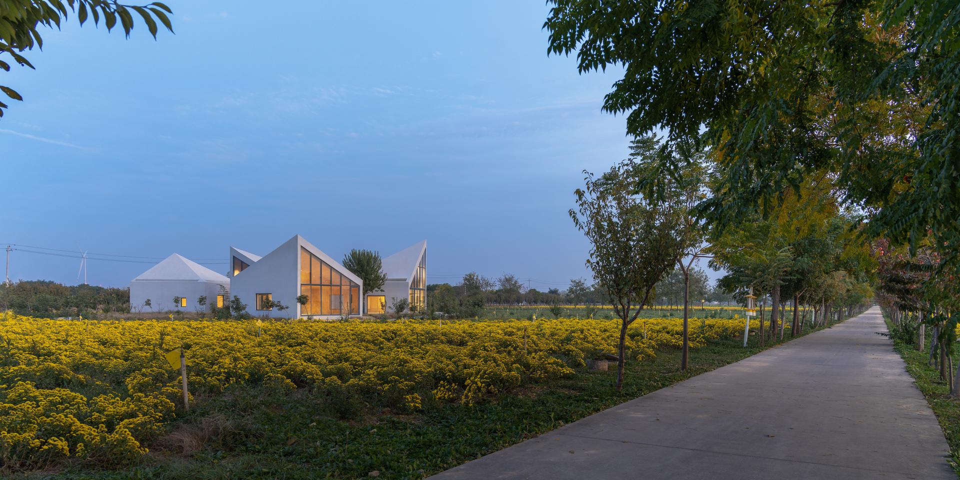Library in Ice-Chrysanthemum Field - image 10