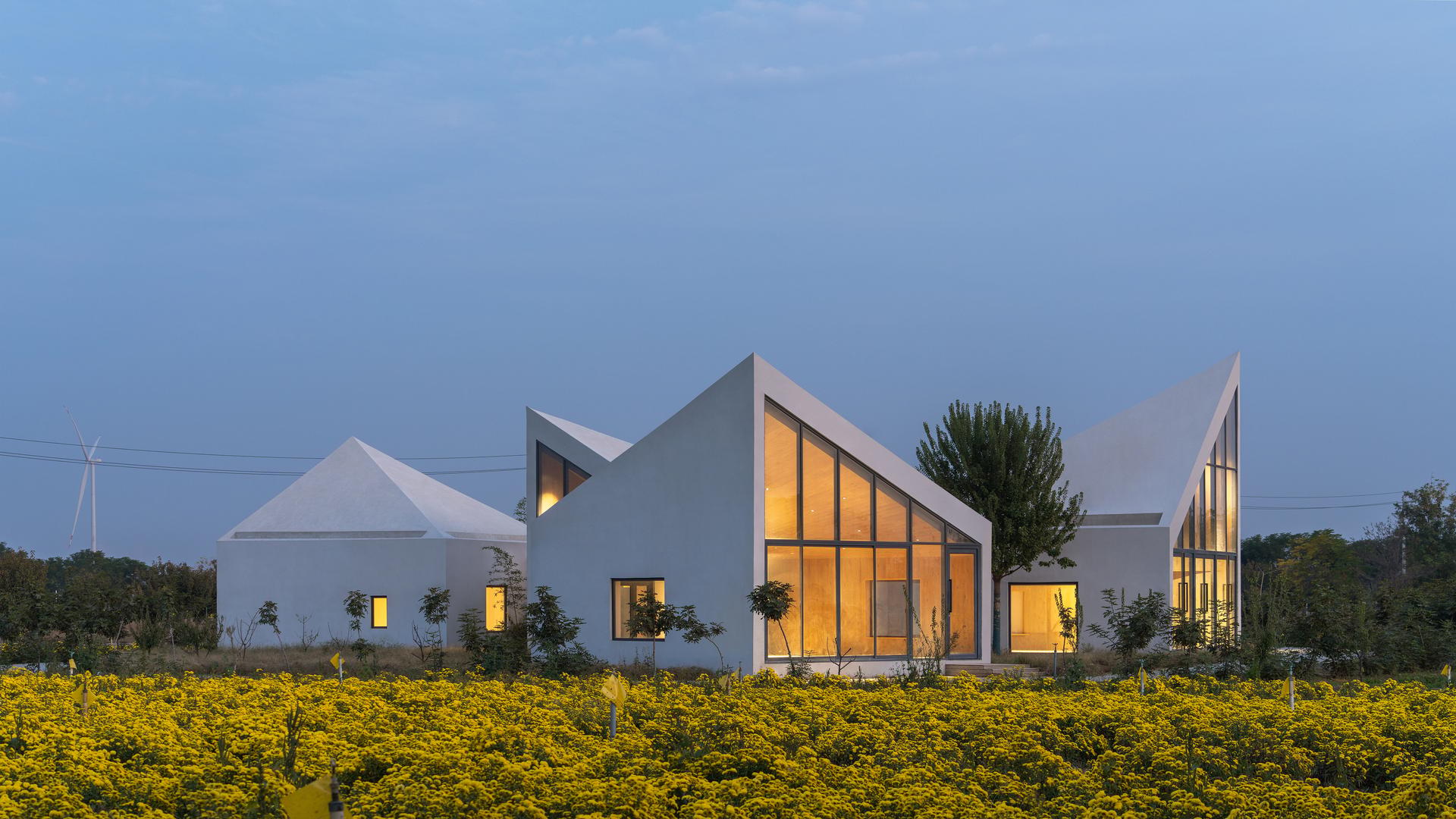 Library in Ice-Chrysanthemum Field - image 11