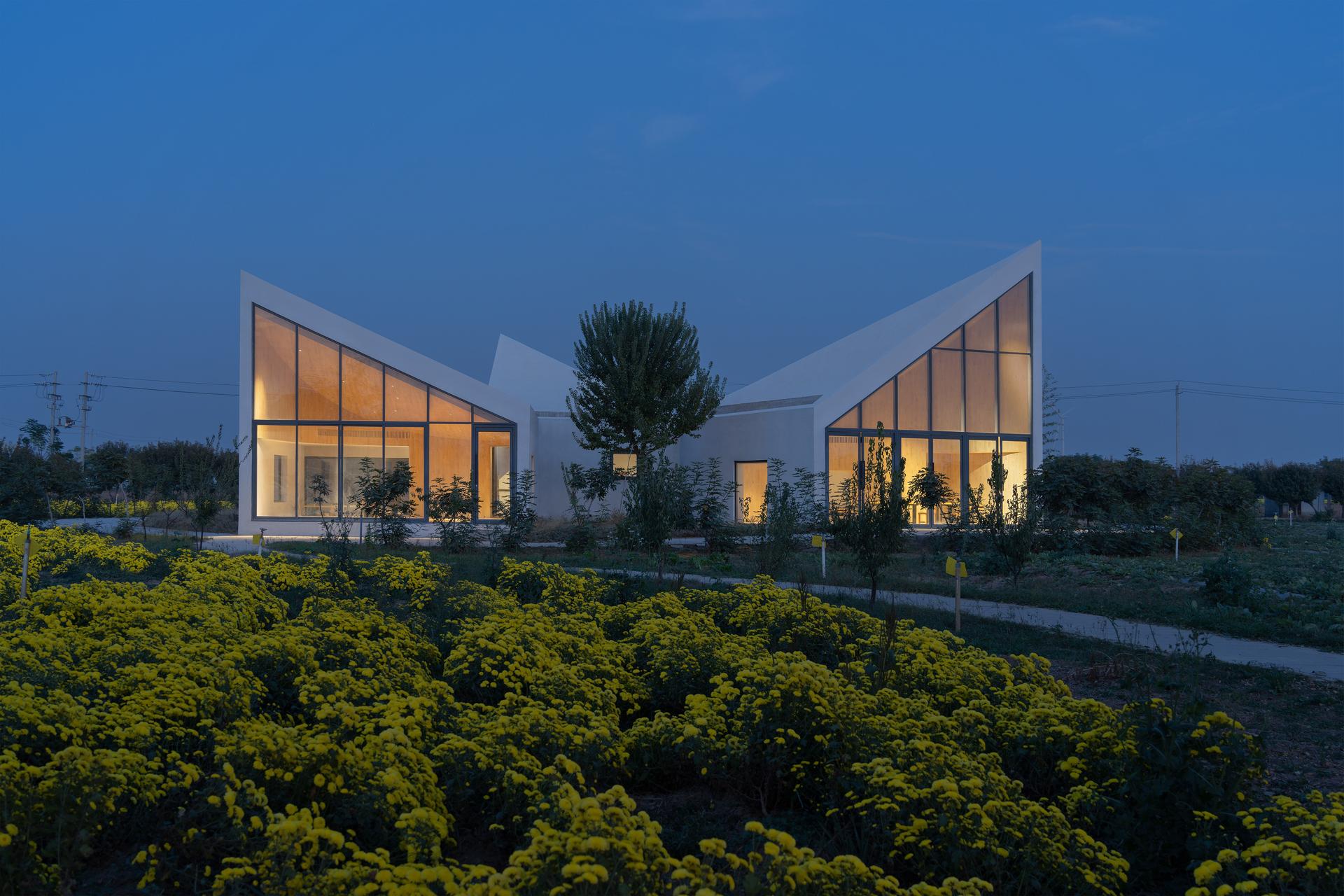 Library in Ice-Chrysanthemum Field - image 12