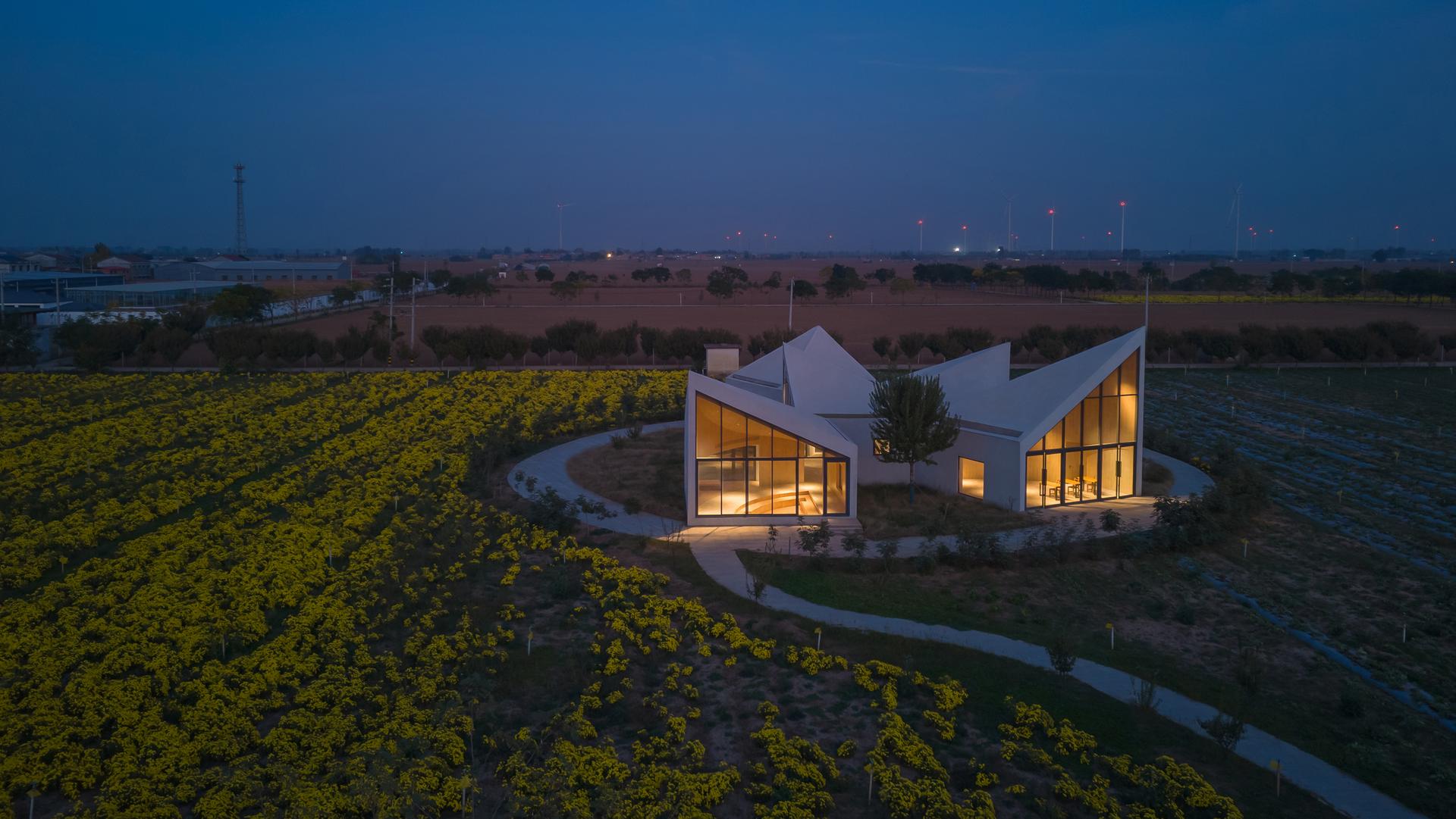 Library in Ice-Chrysanthemum Field - image 13