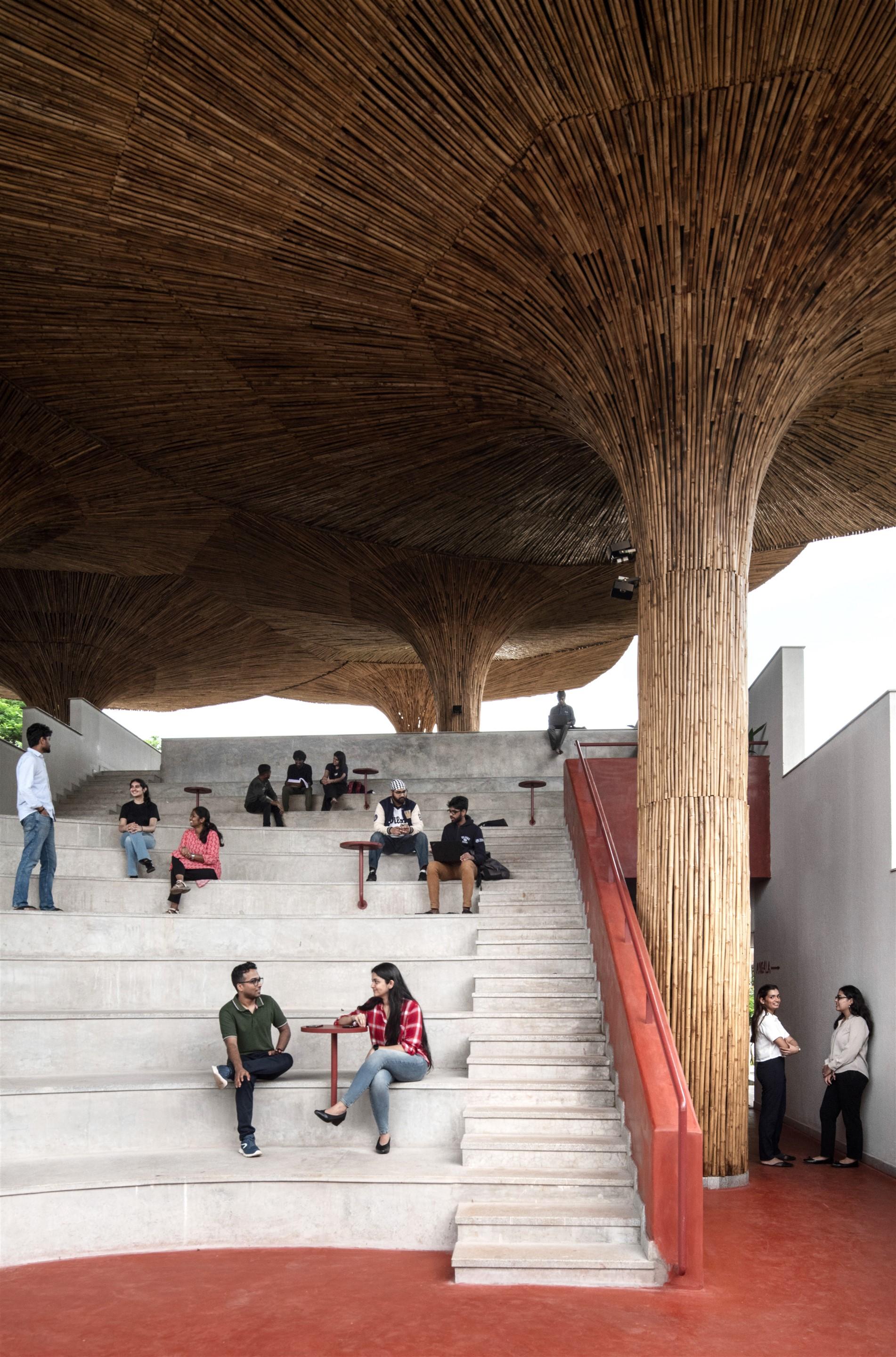 Centre for Inclusive Growth & Competitiveness for Tapmi - image 22