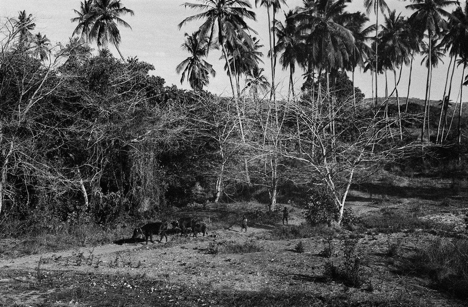 Star Homes - Tanzania - image 32