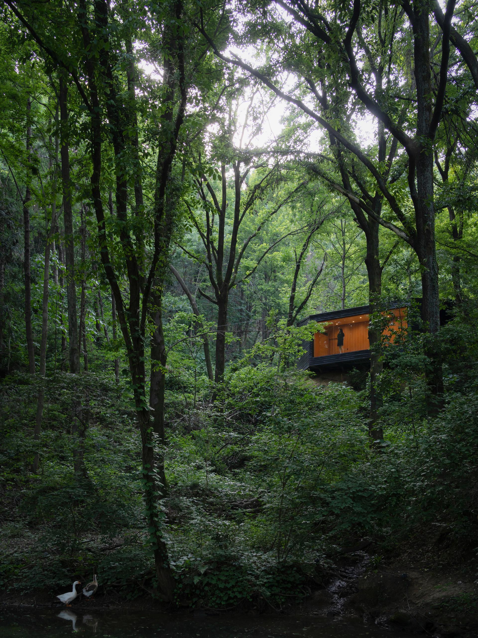 Aquatree Resort Healing Cabin - Deep tranquility